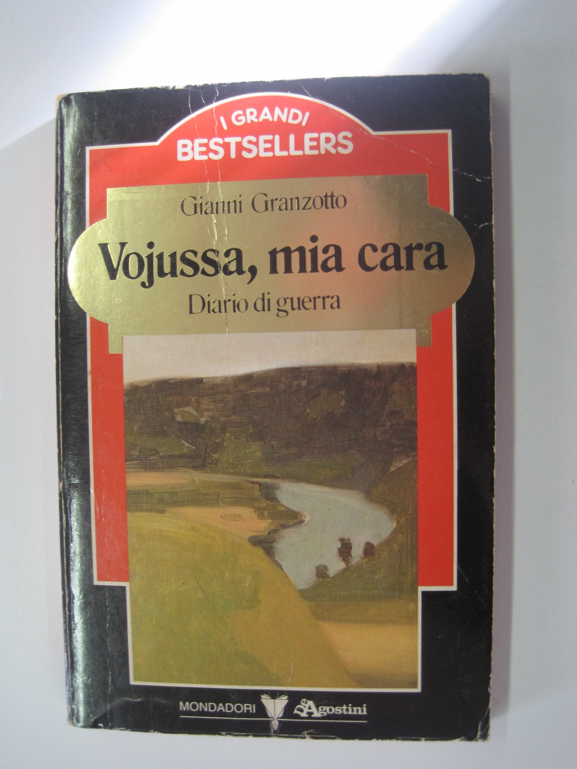 Vojussa mia cara. Diario di guerra book