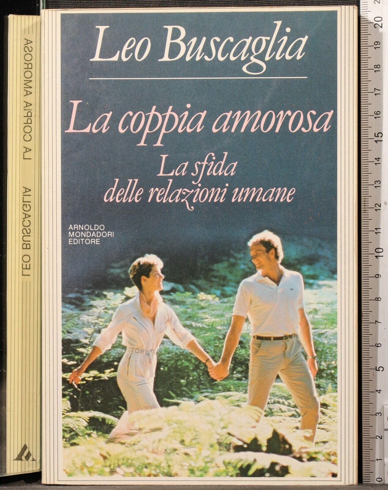 La coppia amorosa. La sfida delle relazioni umane (Ingrandimenti) Books