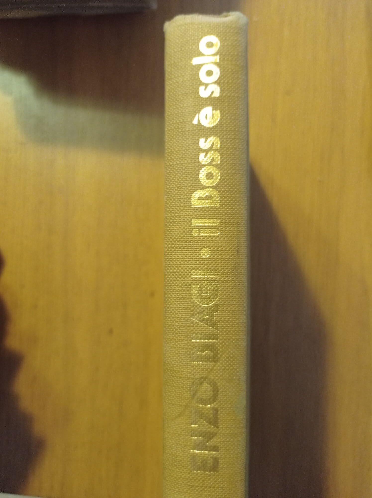 Il boss è solo. Buscetta: la vera storia di un vero padrino (I libri di Enzo Biagi) Books