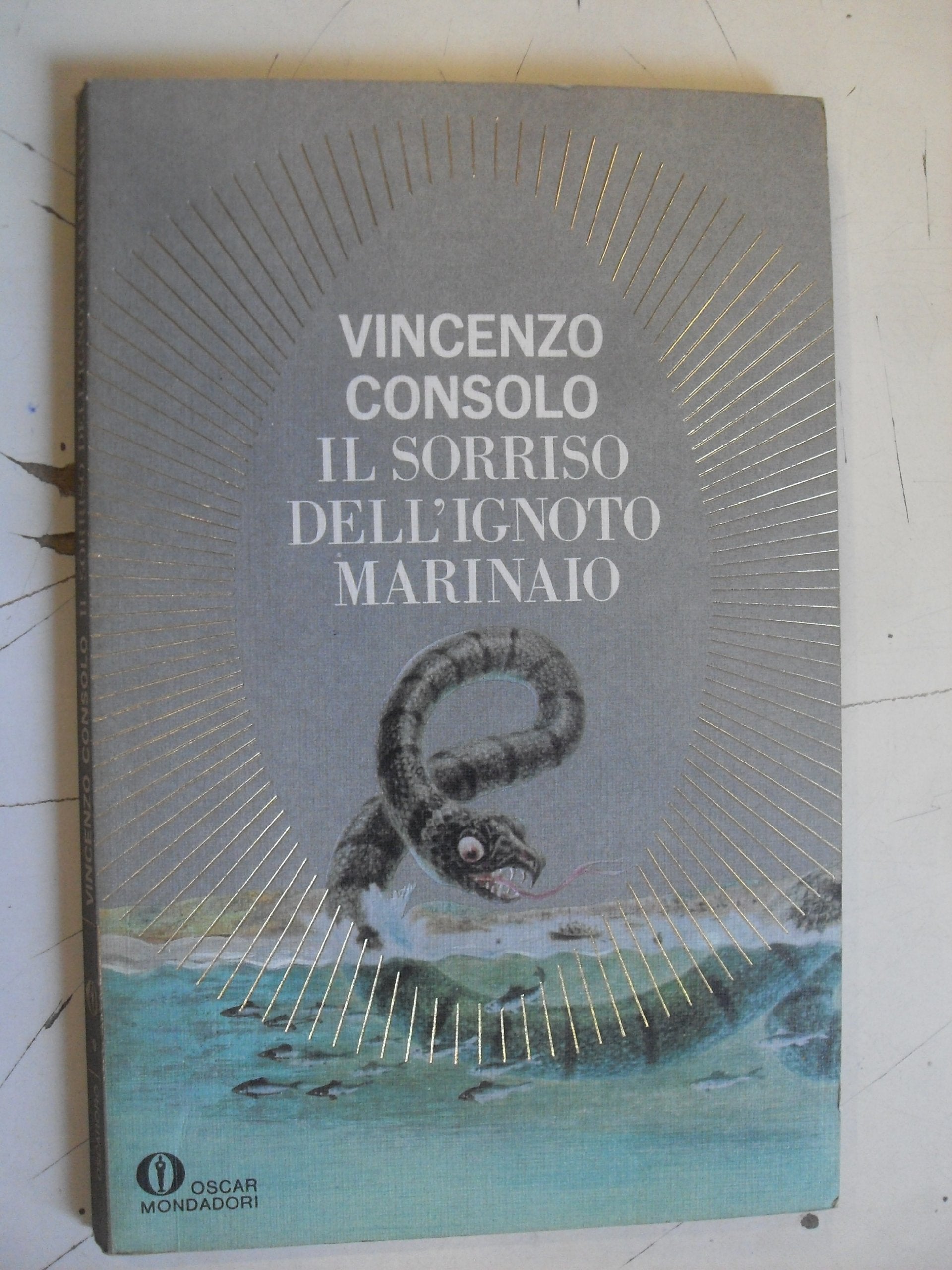 Il Sorriso Dell'Ignoto Marinaio book