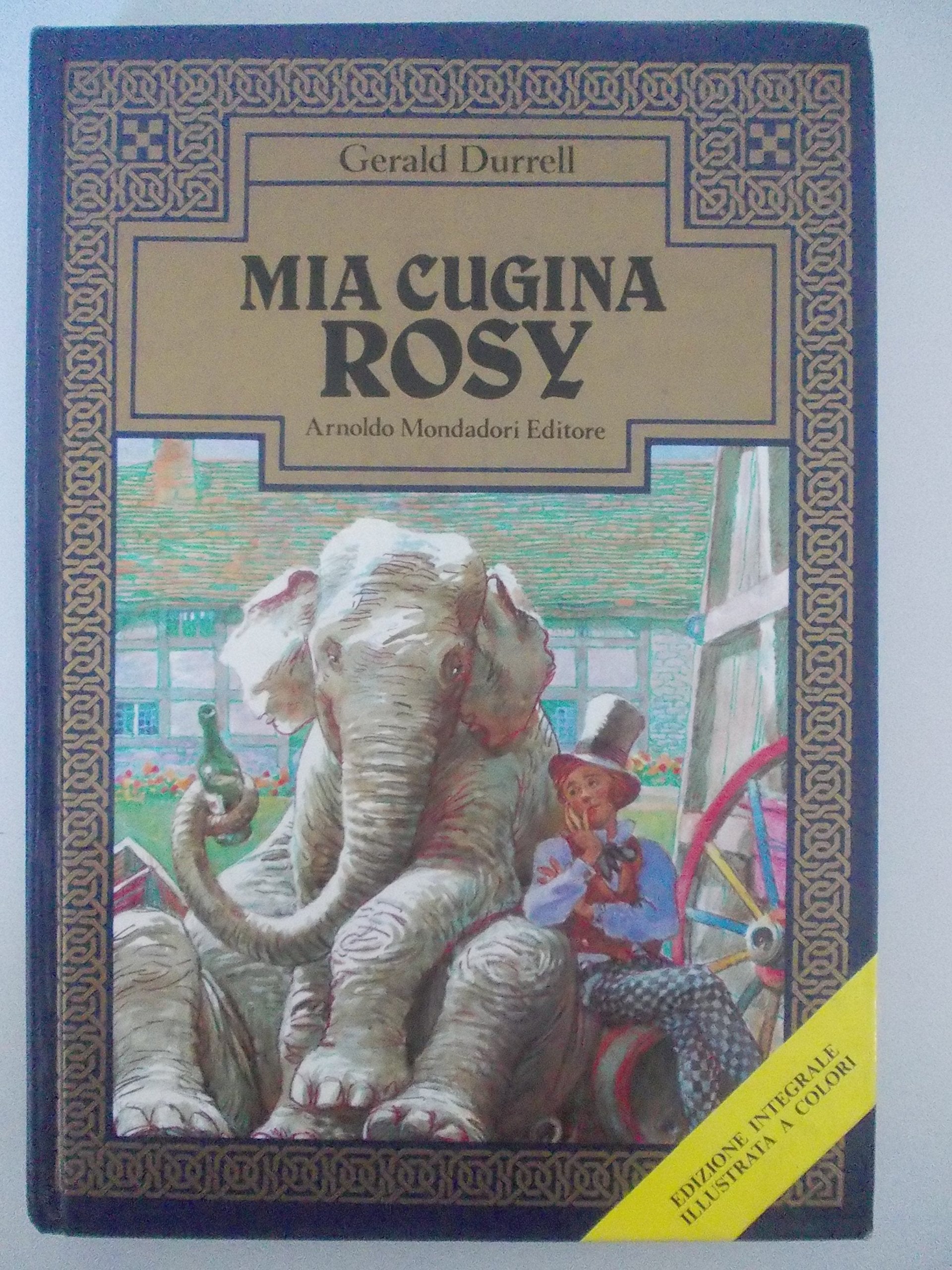 Mia cugina Rosy (Libri da leggere) Books
