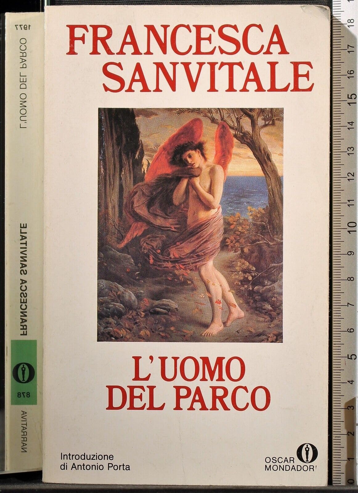 L'Uomo Del Parco (Oscar narrativa, Band 878) Contemporary literature