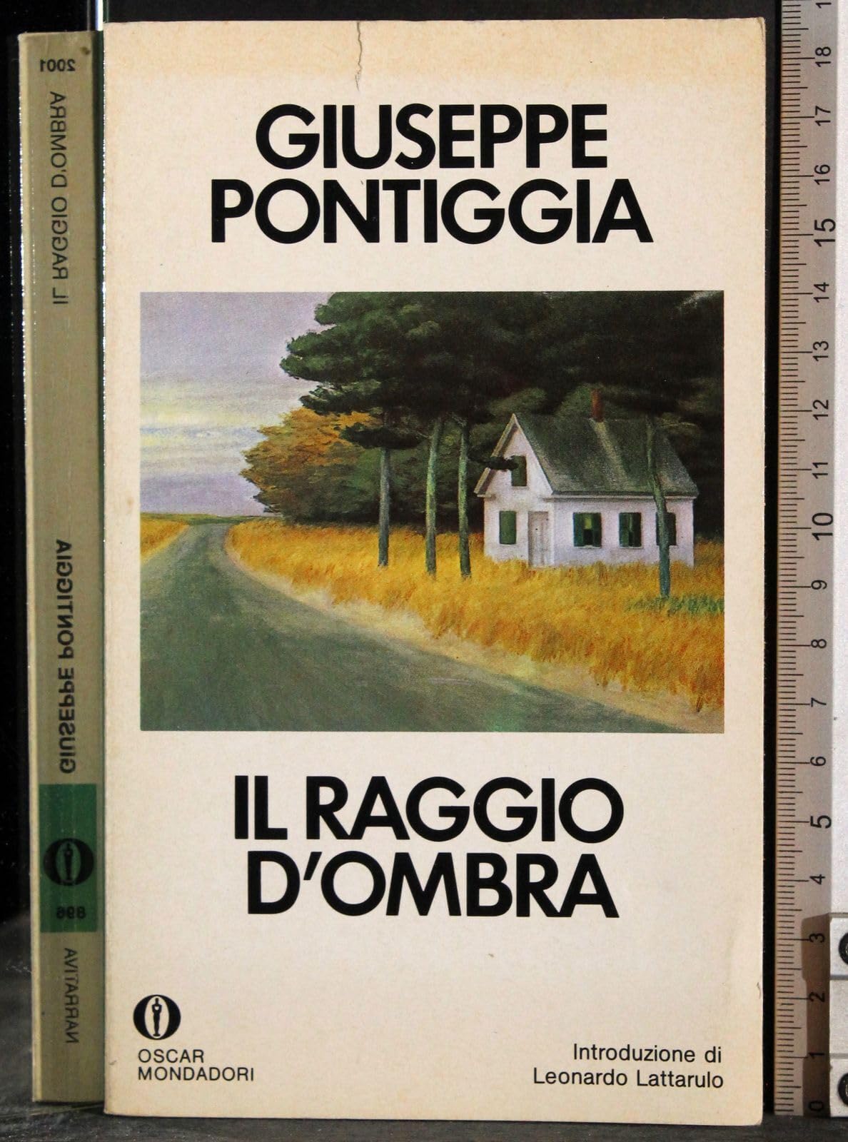 Il raggio d'ombra (Oscar narrativa, Band 896) Contemporary literature