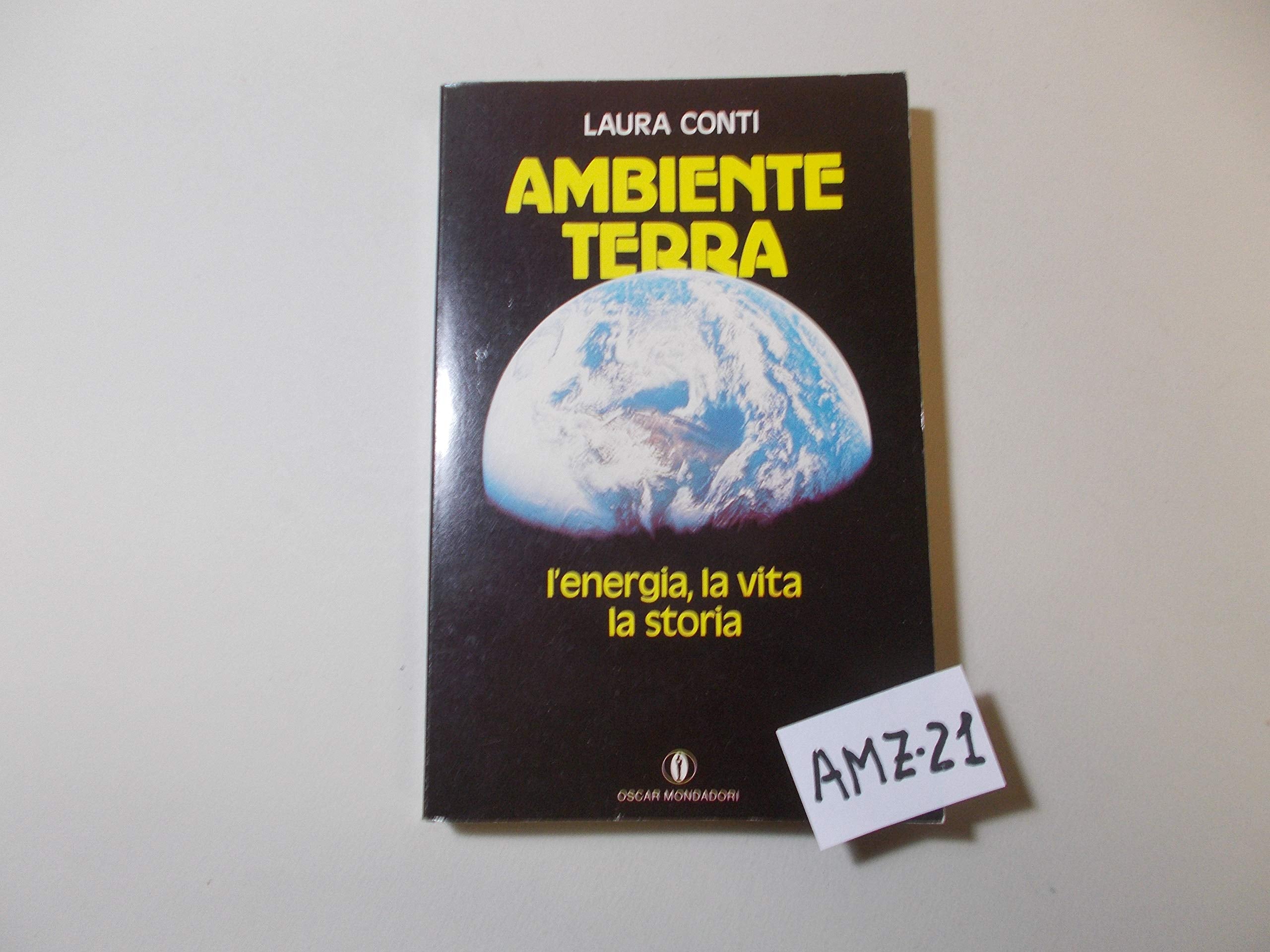 Ambiente terra. L'energia, la vita, la storia book
