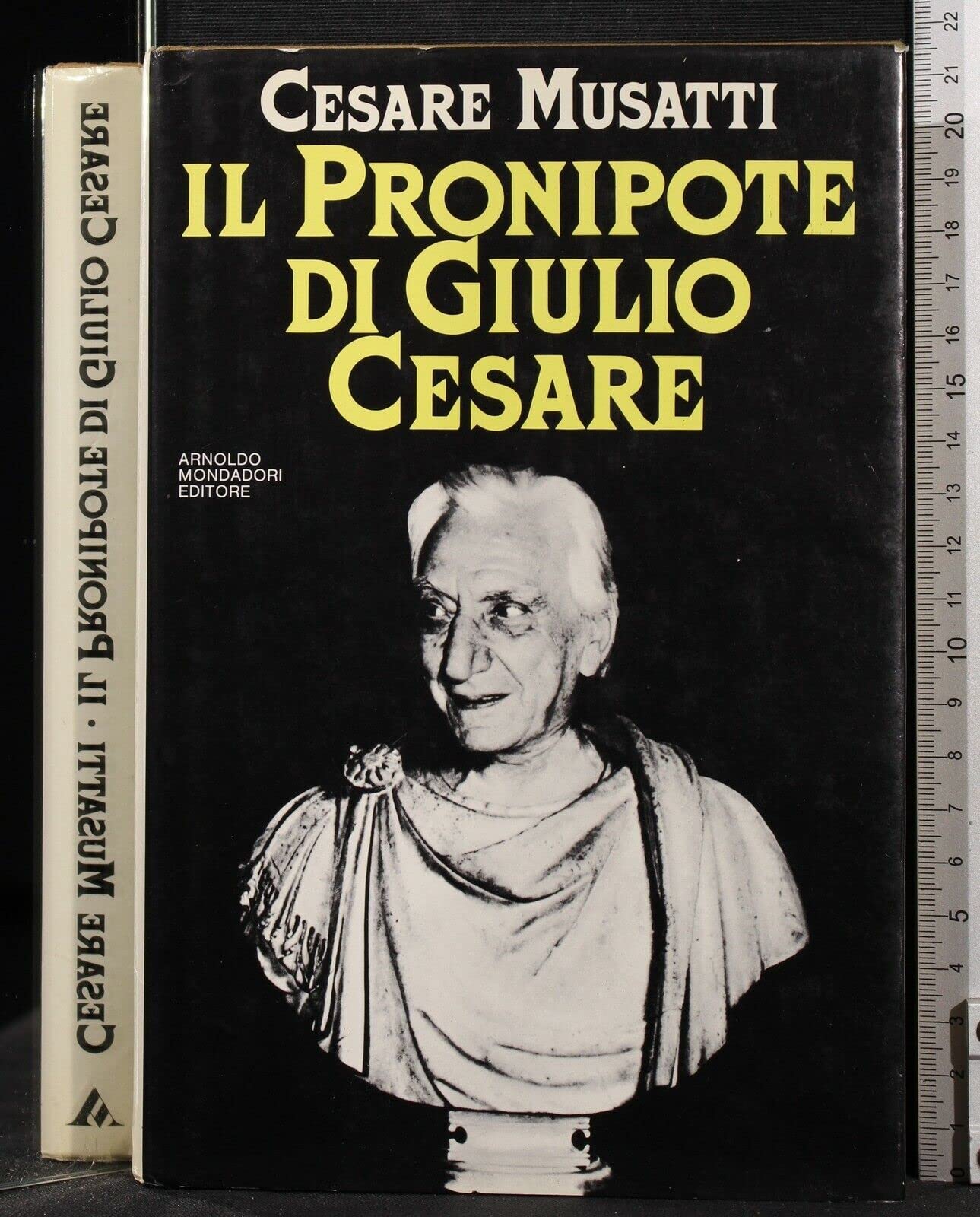Il pronipote di Giulio Cesare (Ingrandimenti) Books