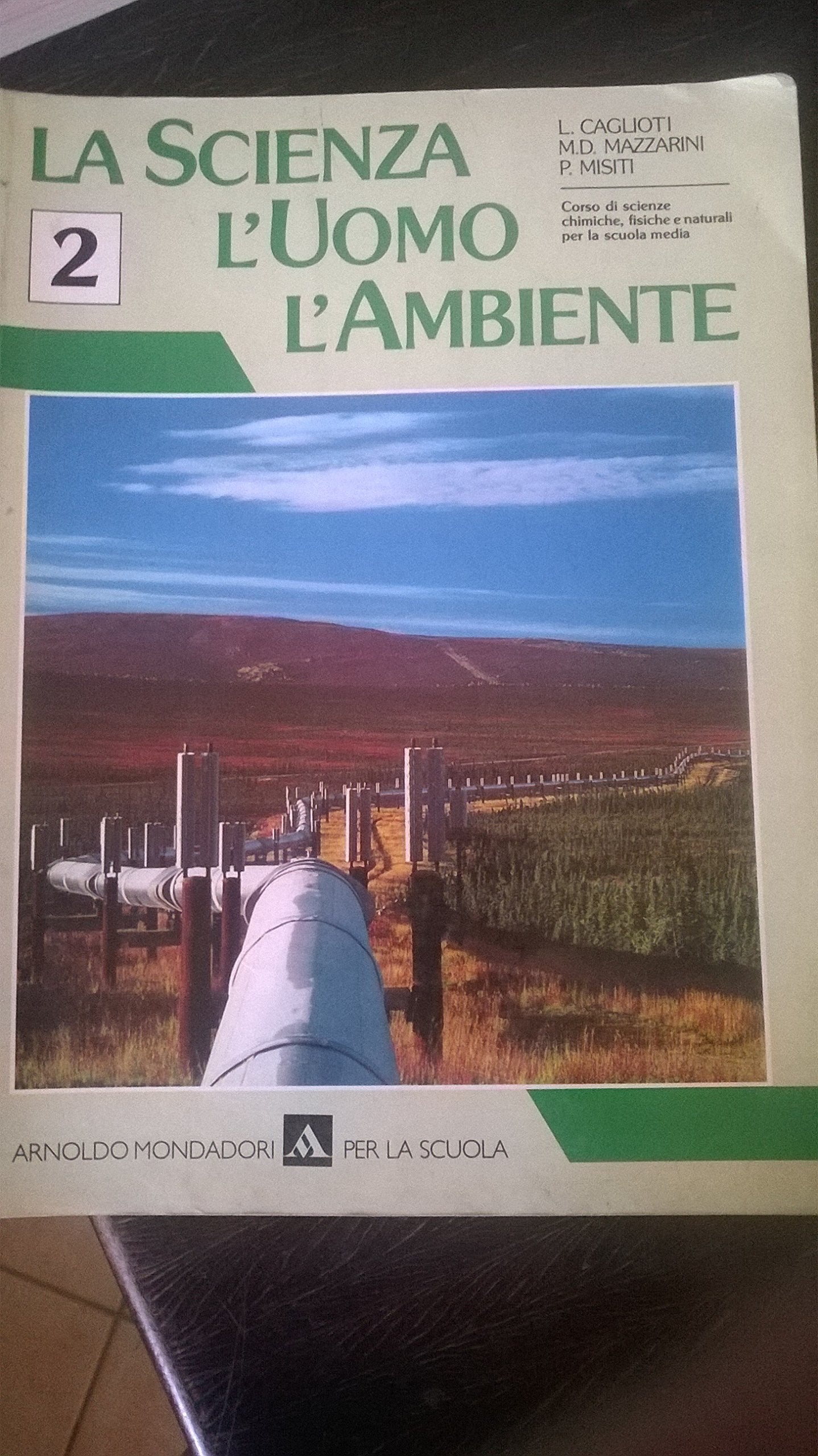 La scienza, l'uomo, l'ambiente. Corso di scienze chimiche, fisiche e naturali per la Scuola media (Vol. 2) book