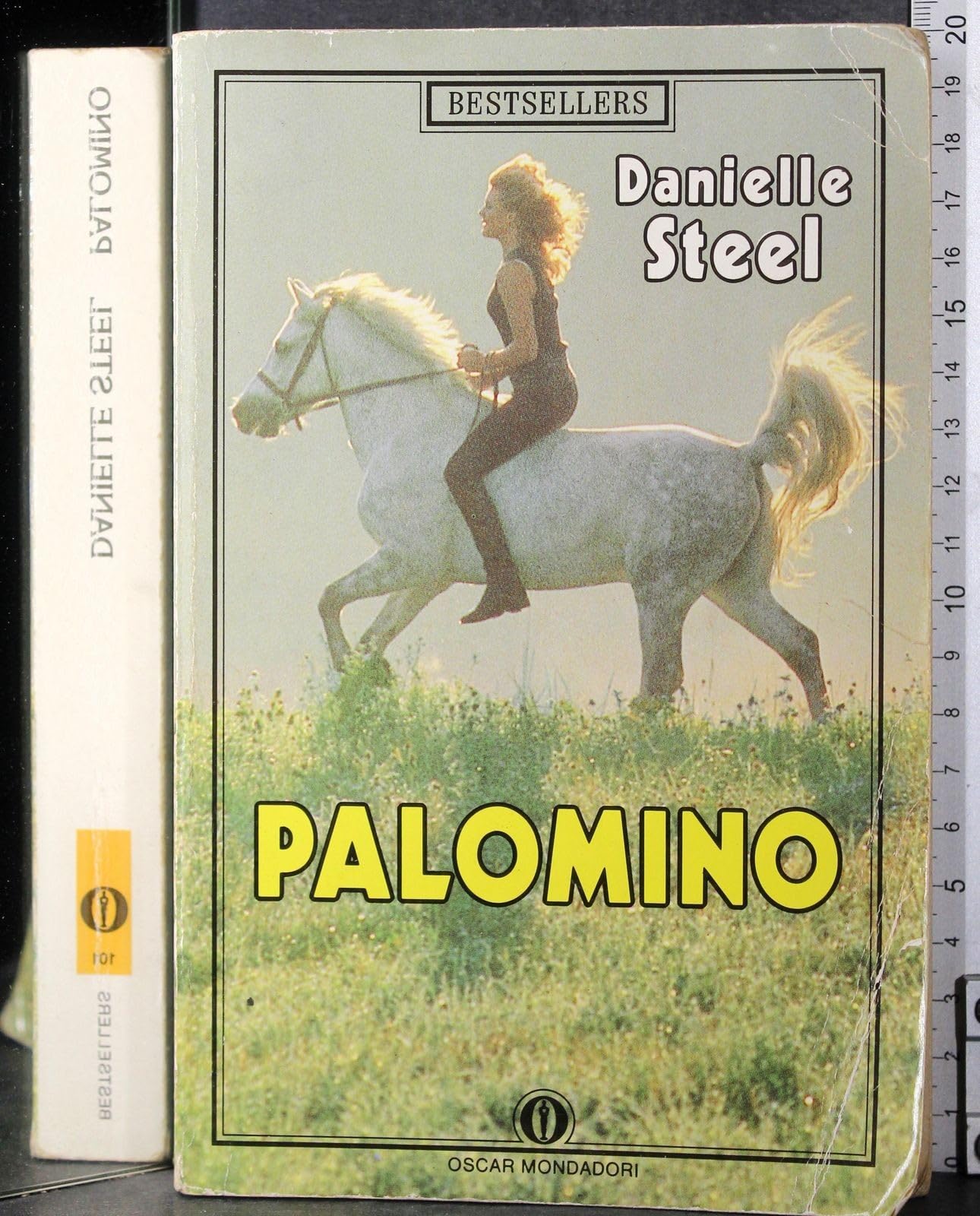 Palomino (Oscar bestsellers, Band 101) Contemporary literature
