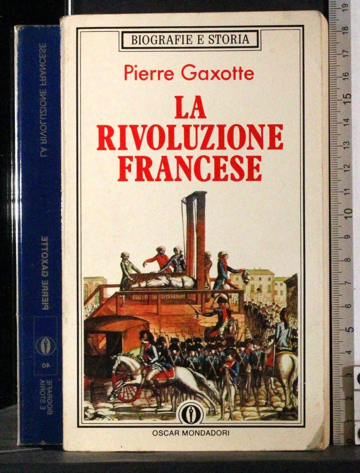 La rivoluzione francese. Dalla presa della Bastiglia all'avvento di Napoleone (Oscar biografie e storia, Band 40) Politics & History