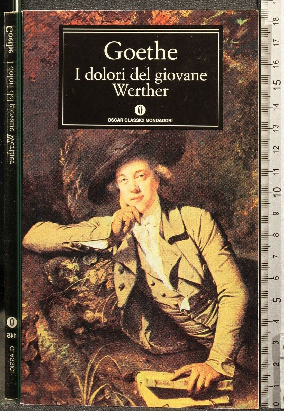I dolori del giovane Werther (Oscar classici, Band 145) Classics