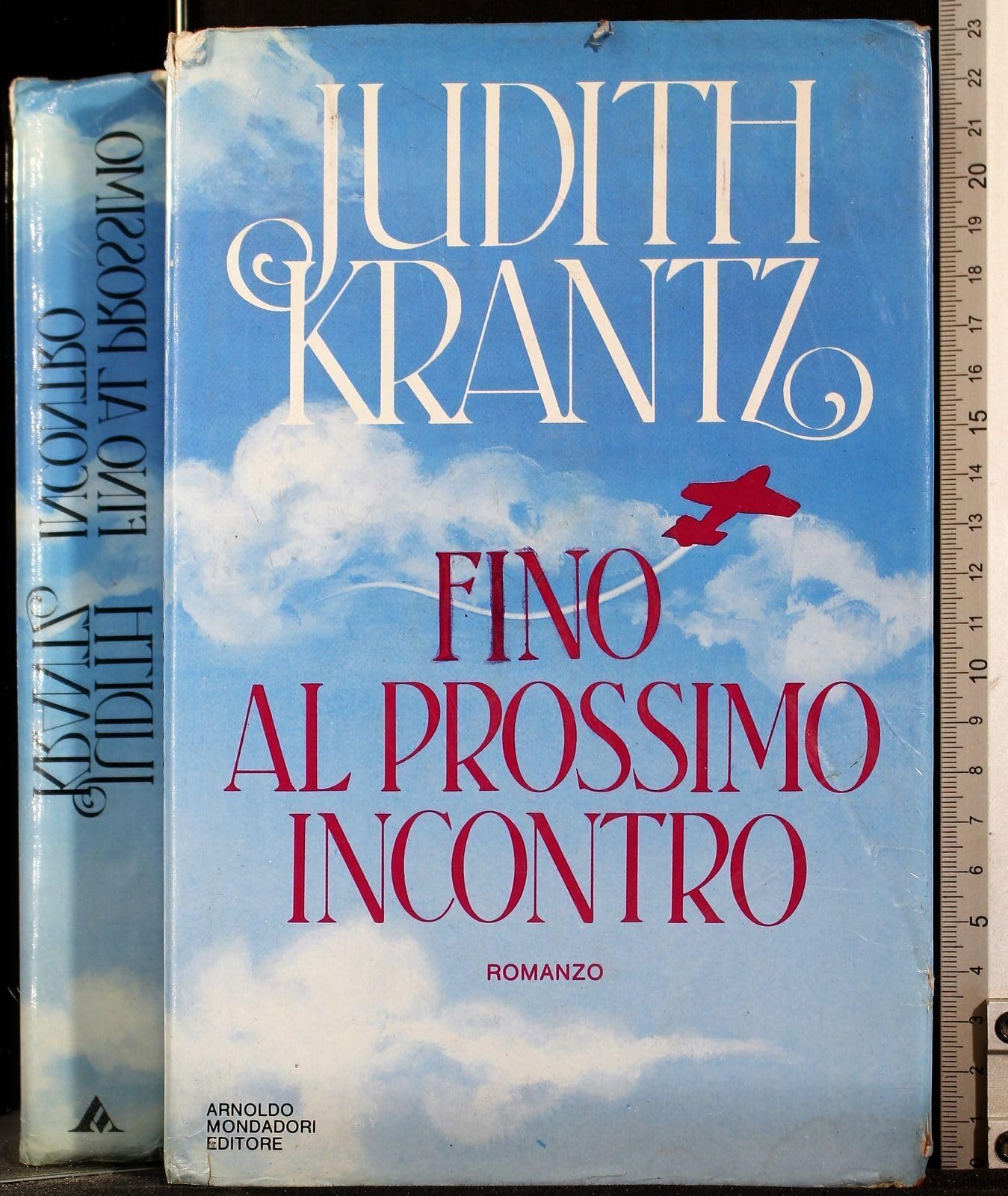 Fino al prossimo incontro book