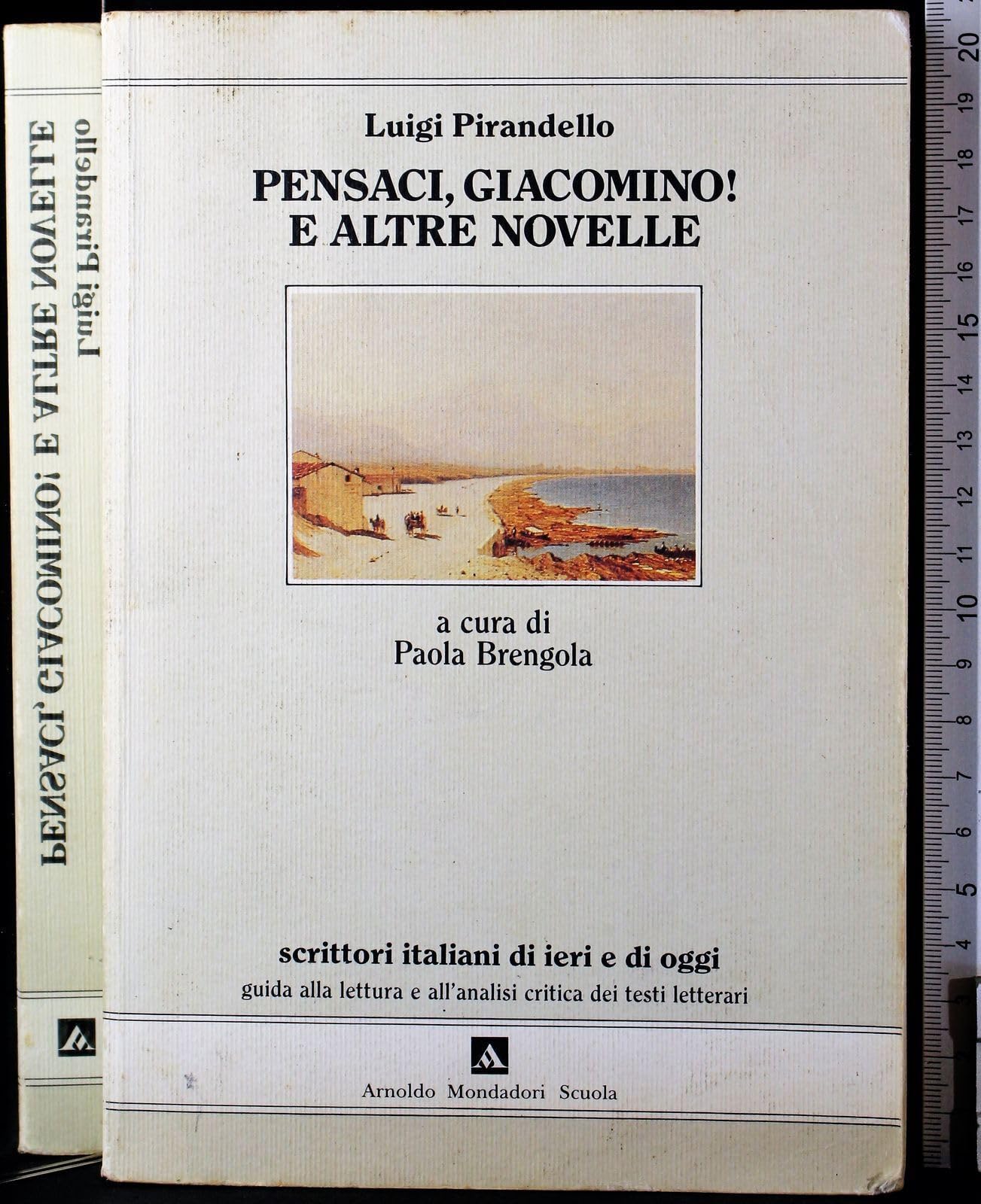 Pensaci, Giacomino! E altre novelle book
