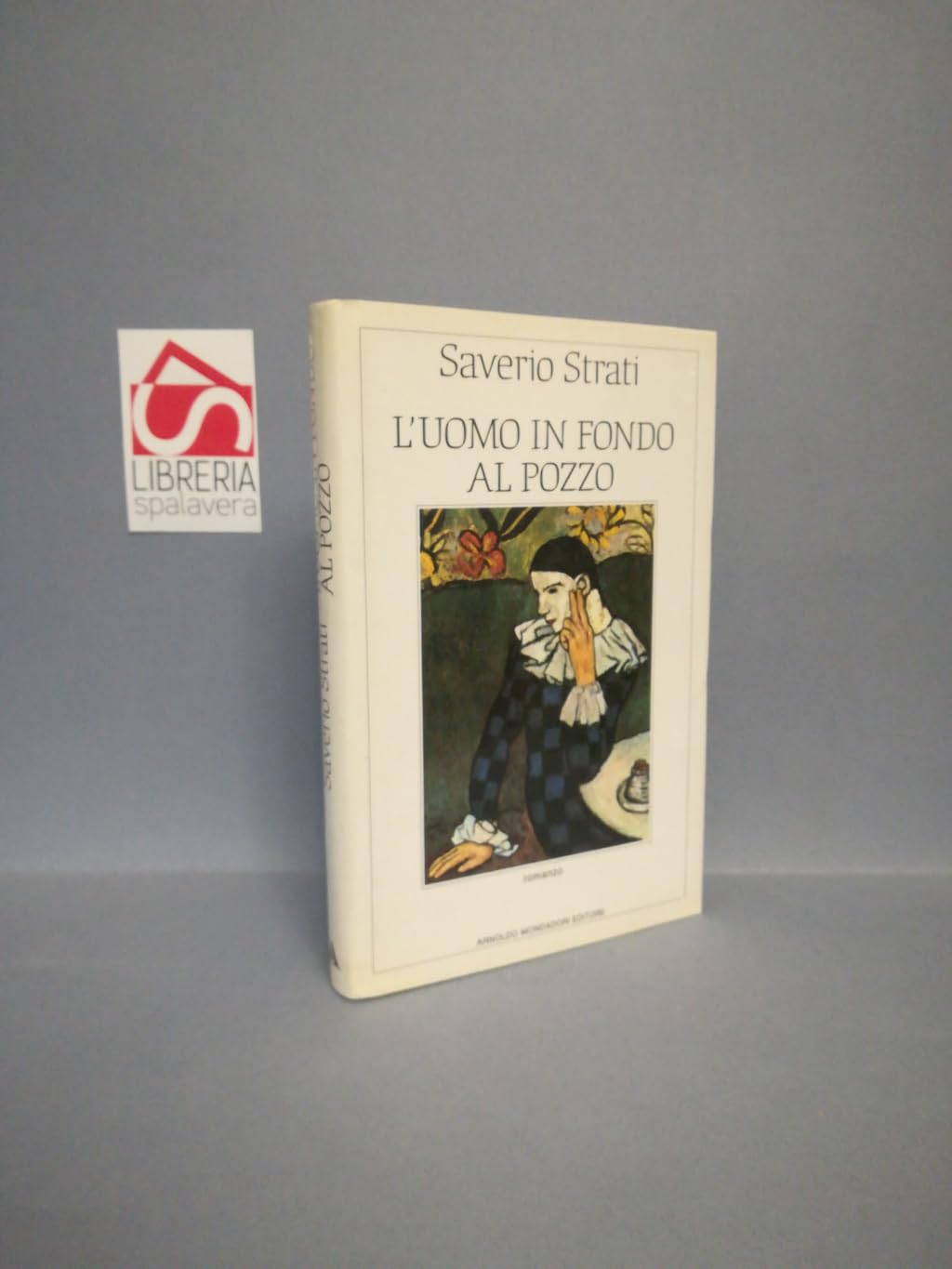 L'uomo in fondo al pozzo book