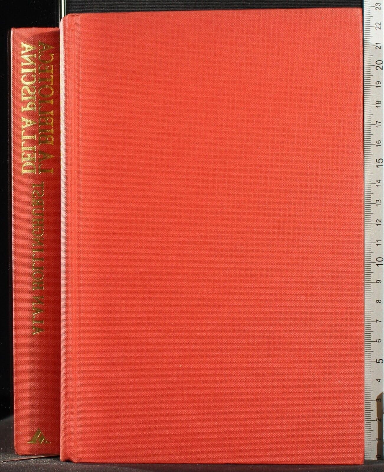 La biblioteca della piscina (Omnibus stranieri) Contemporary literature