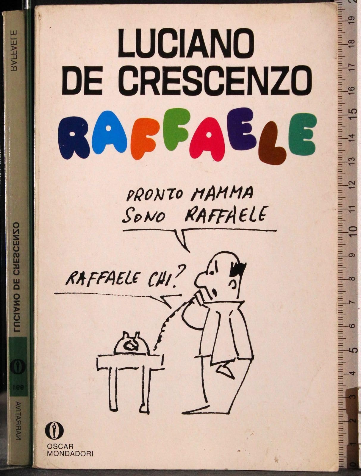 Raffaele (Oscar narrativa, Band 991) Contemporary literature