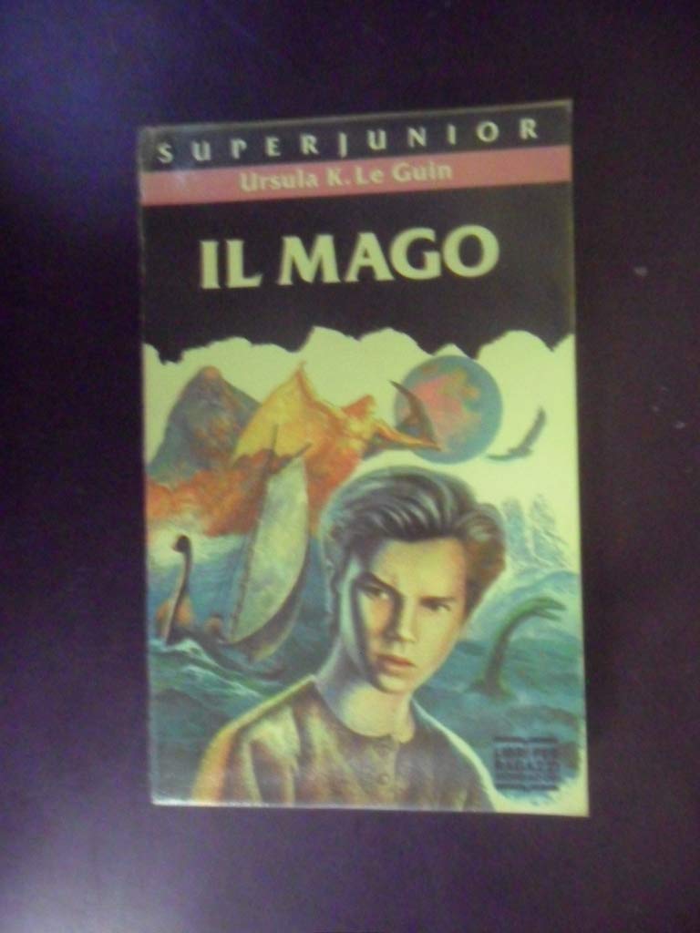 Il Mago (Superjunior, Band 12) Learning & Reference