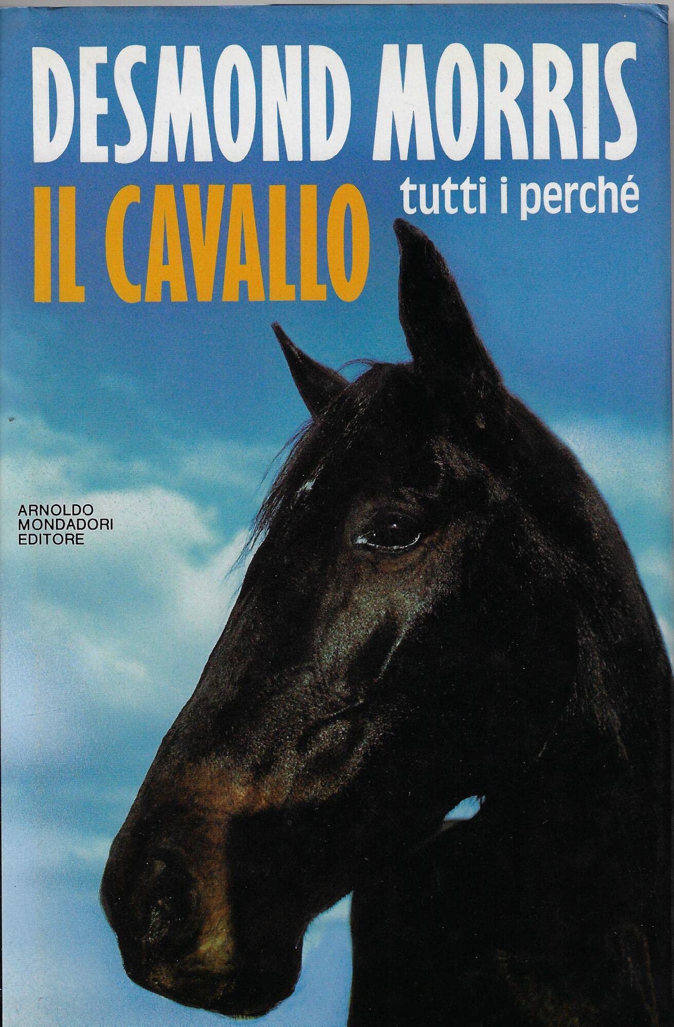 Il cavallo. Tutti i perché (Ingrandimenti) Pets