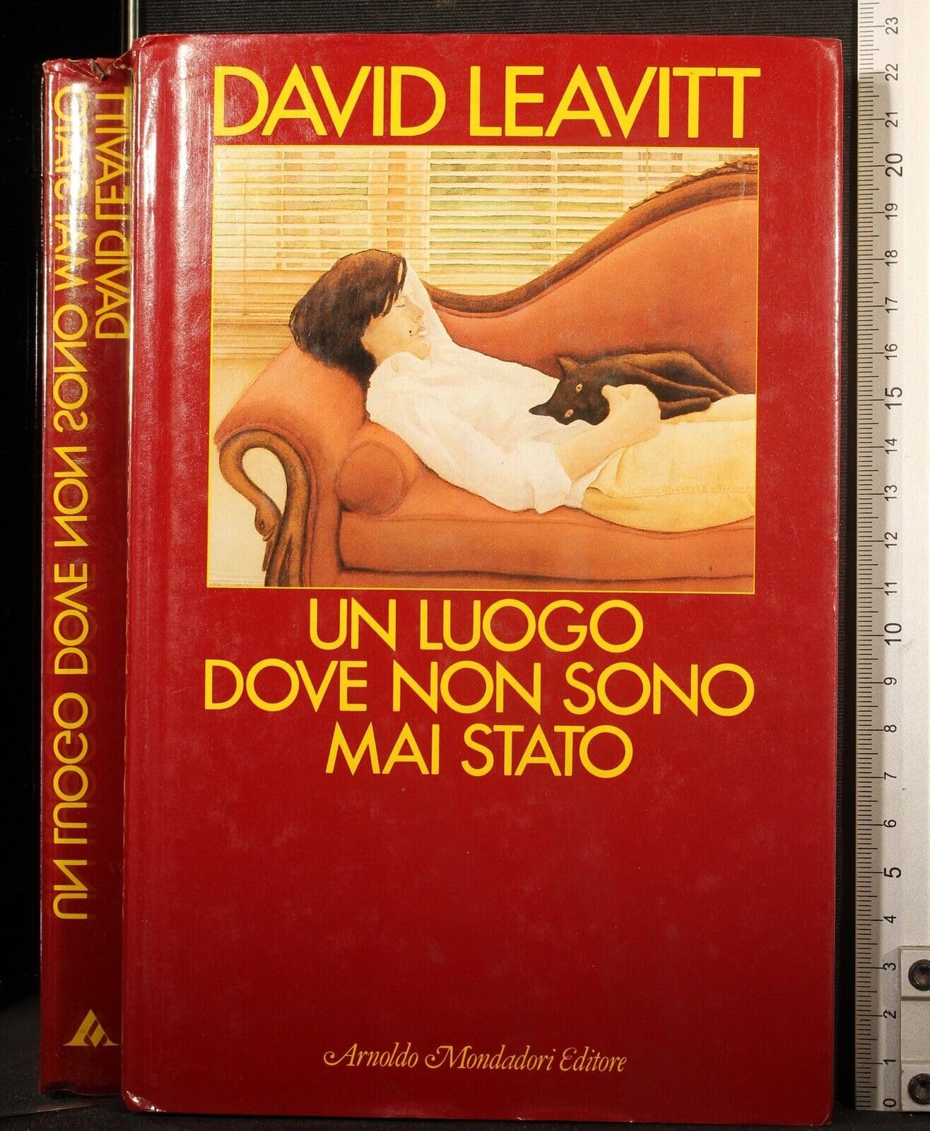 Un luogo dove non sono mai stato book