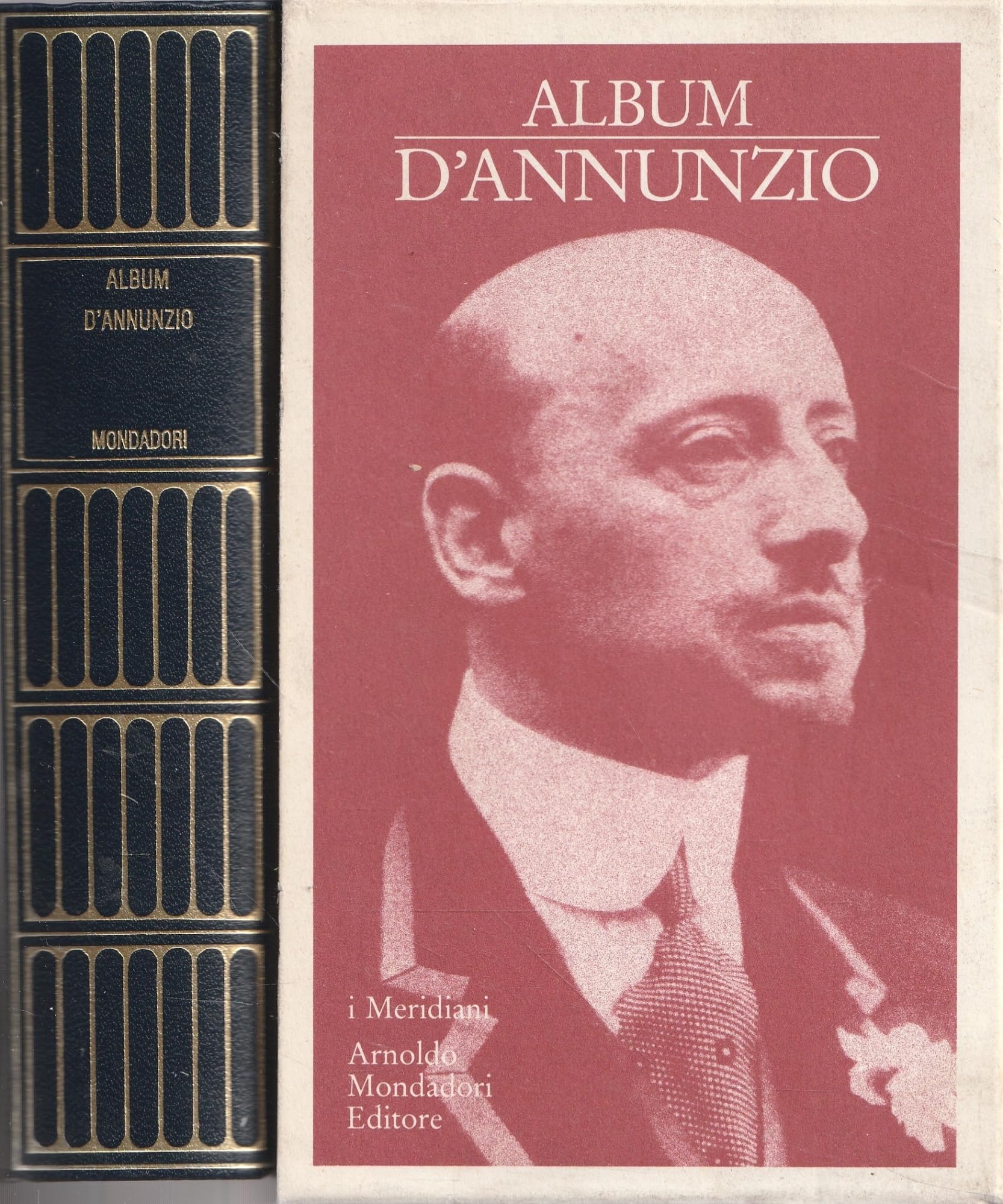 Album D'Annunzio book