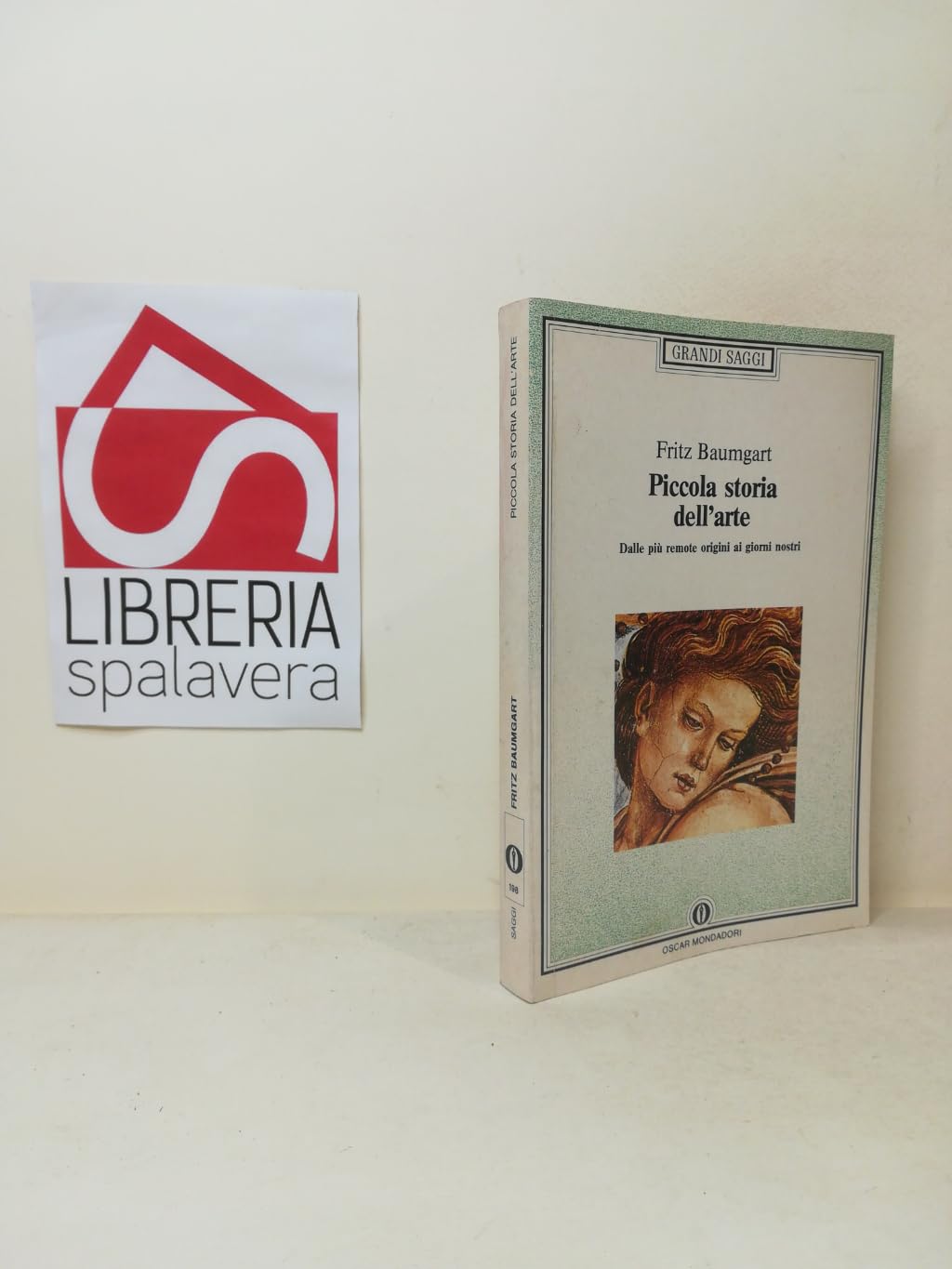 Piccola storia dell'arte dalle più remote origini ai giorni nostri book