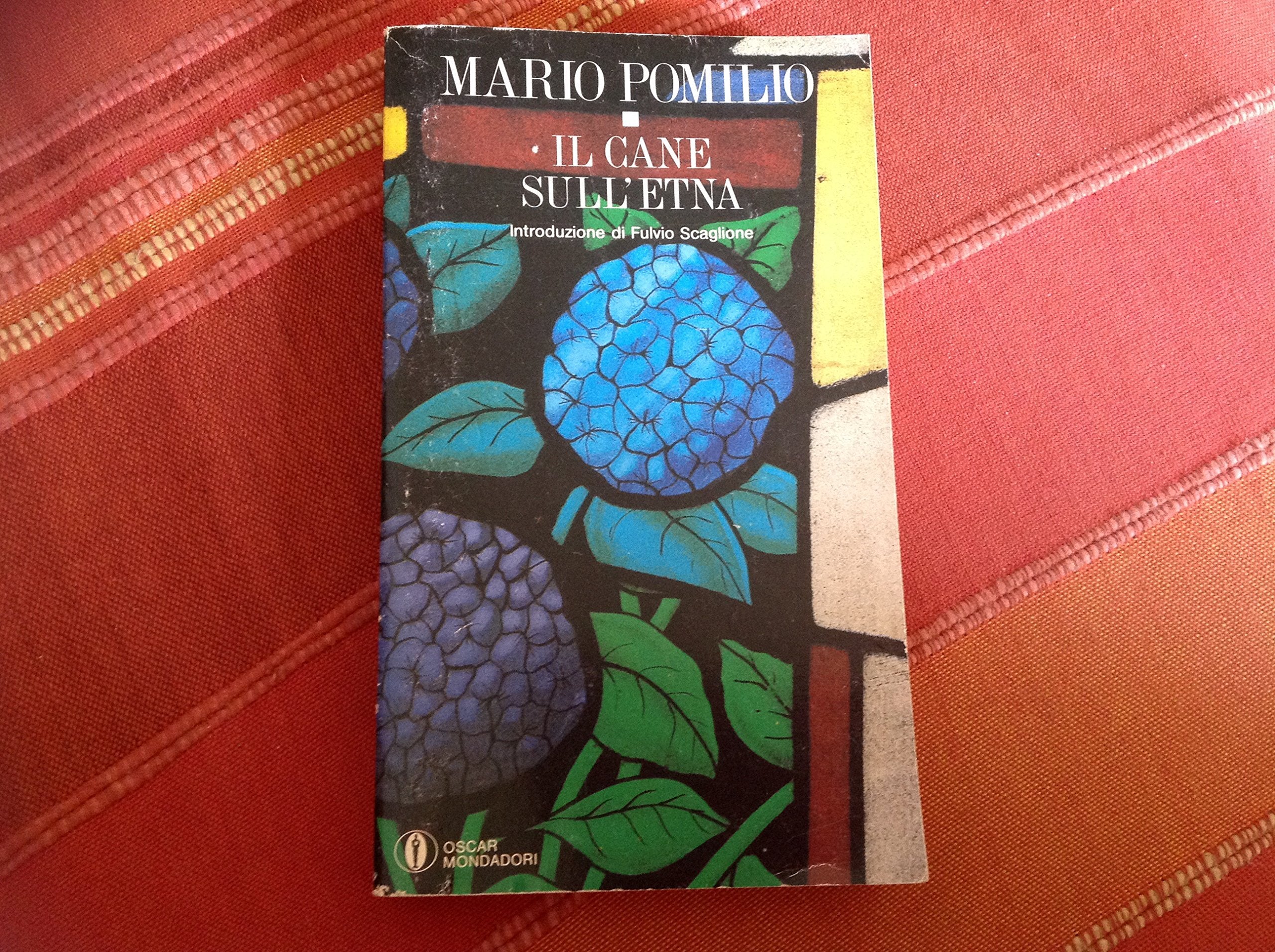 Il Cane Sull'Etna (Oscar narrativa, Band 1117) Contemporary literature