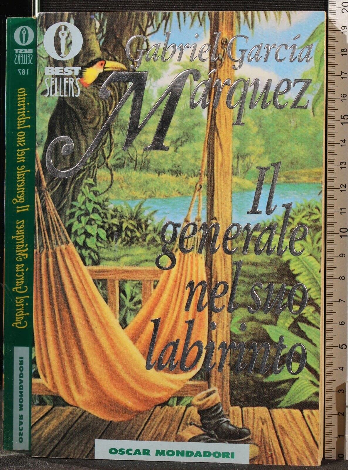 Il generale nel suo labirinto book