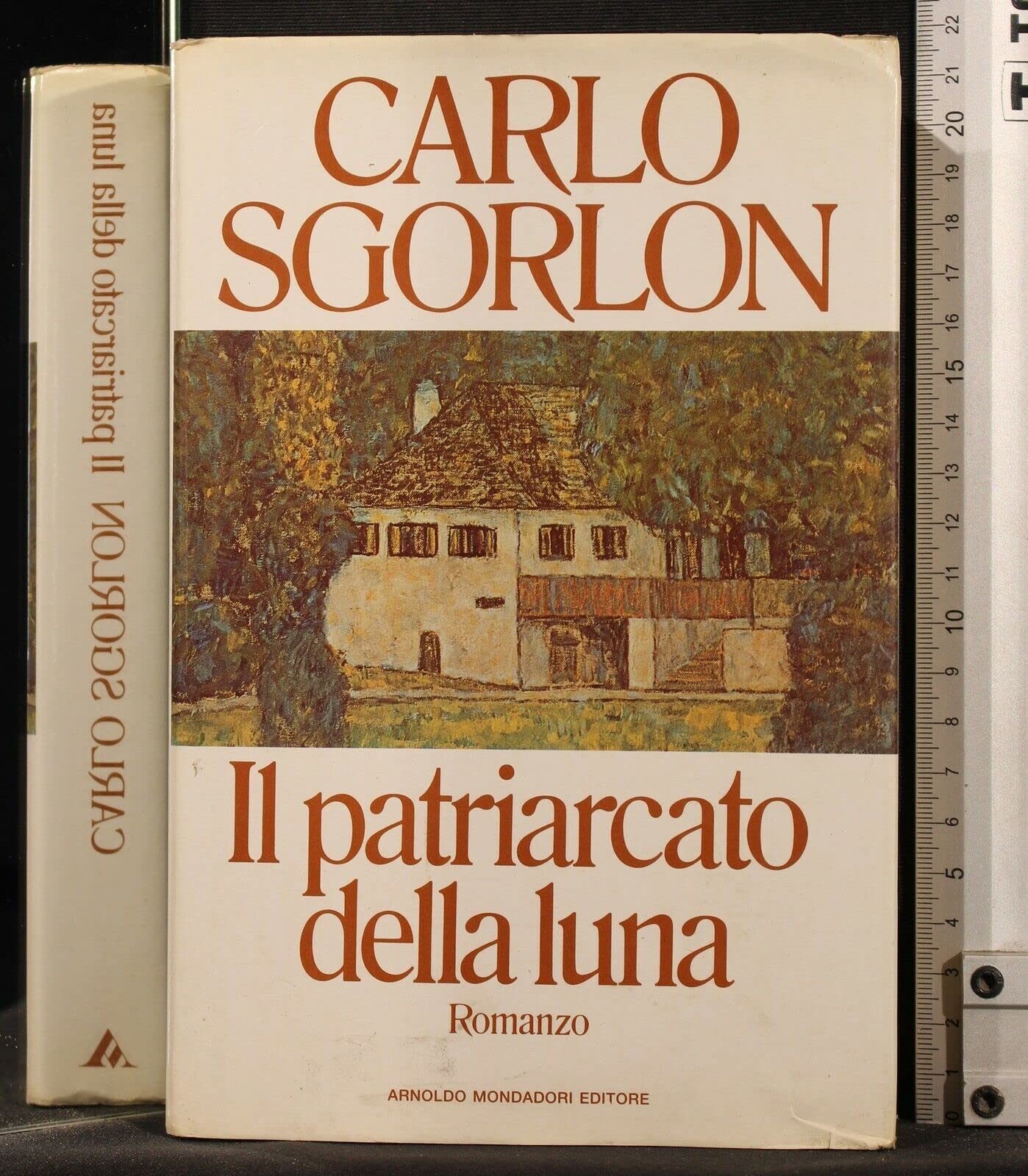 Il patriarcato della luna (Scrittori italiani) Contemporary literature Books