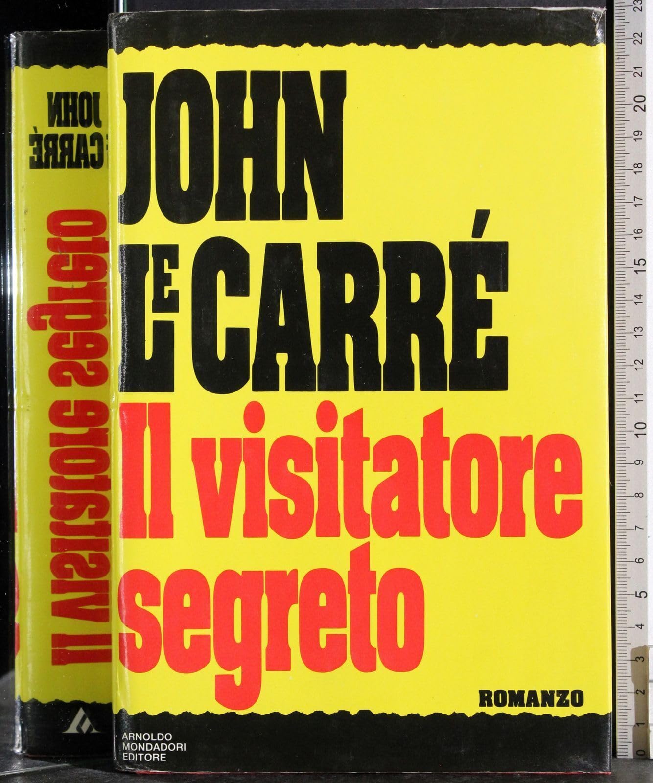 Il visitatore segreto (Omnibus stranieri) Contemporary literature