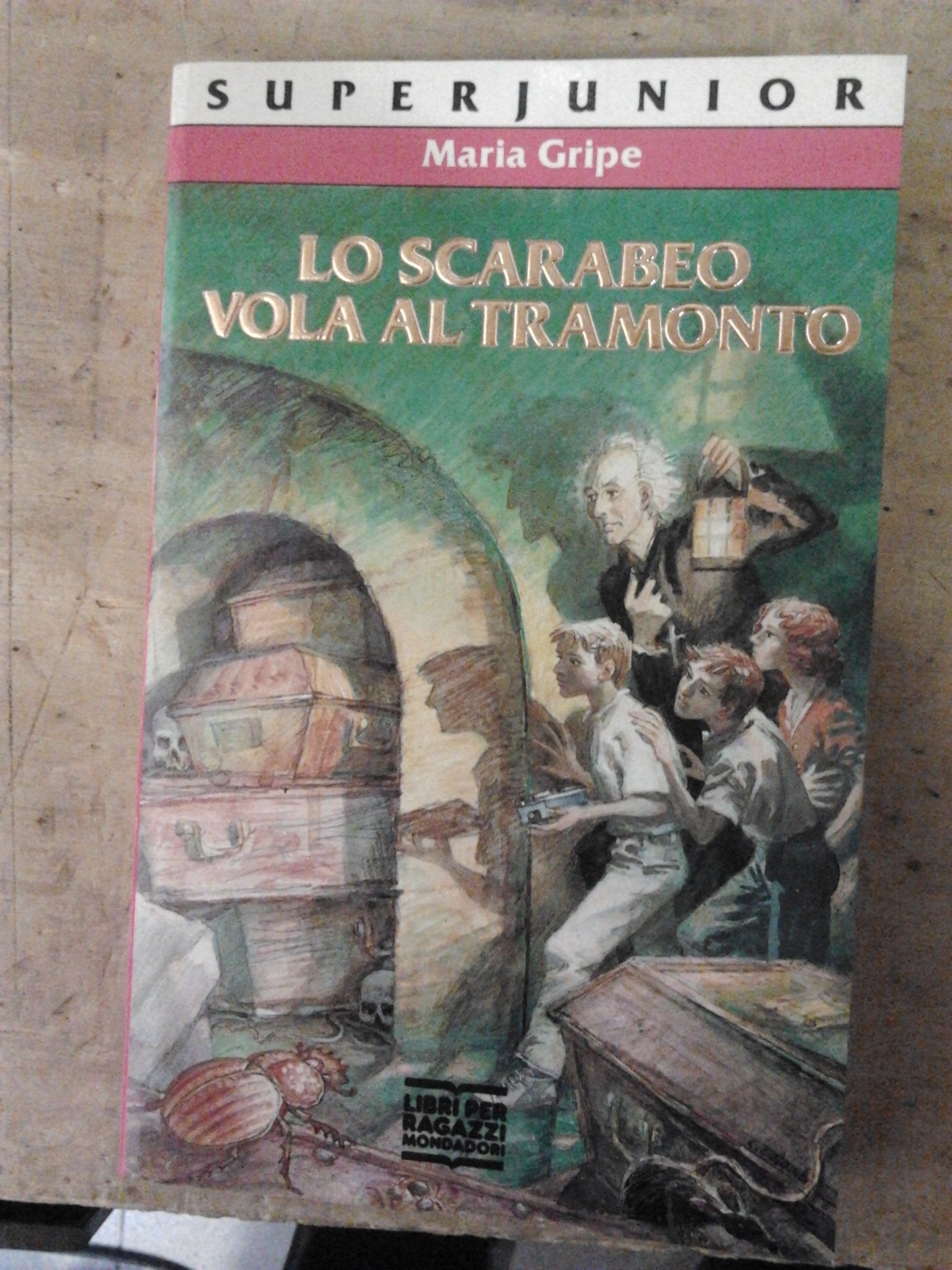 Lo Scarabeo Vola Al Tramonto (Superjunior, Band 25) Learning & Reference