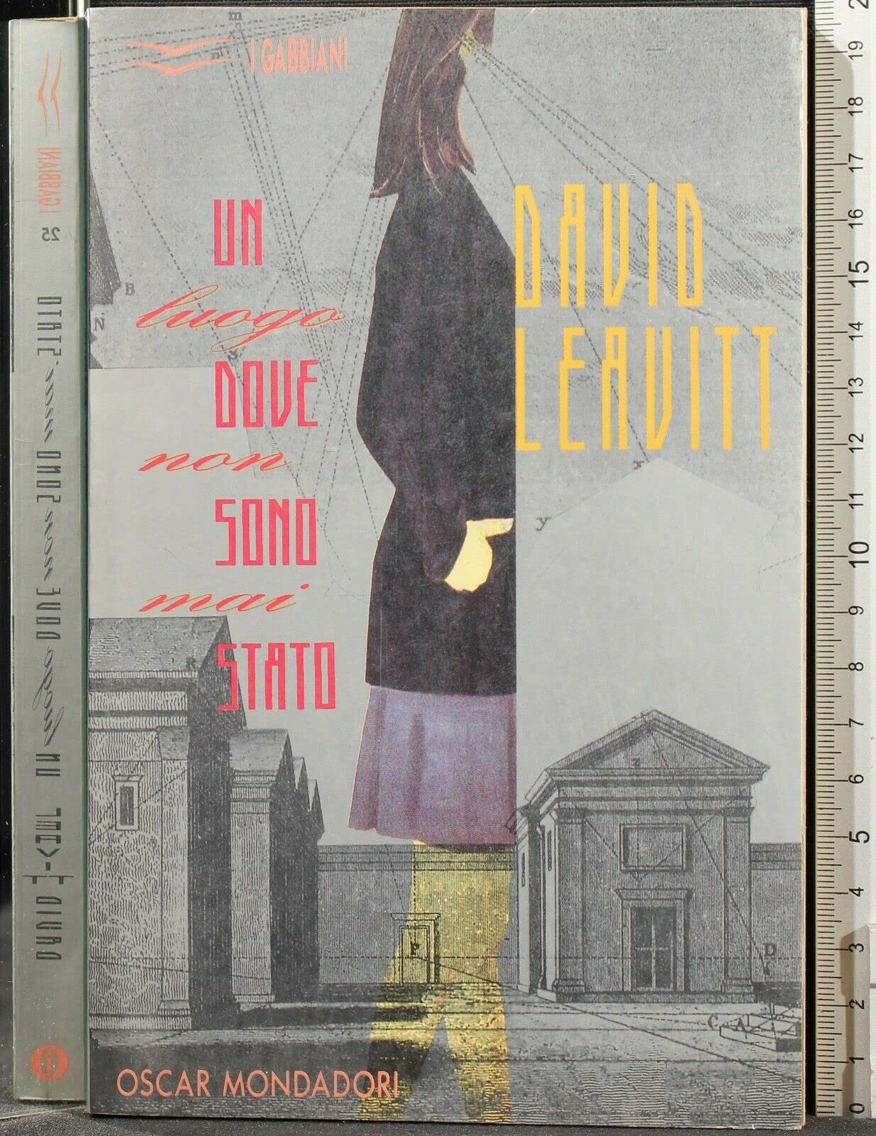 Un luogo dove non sono mai stato (Oscar gabbiani, Band 25) Essays & Short Stories