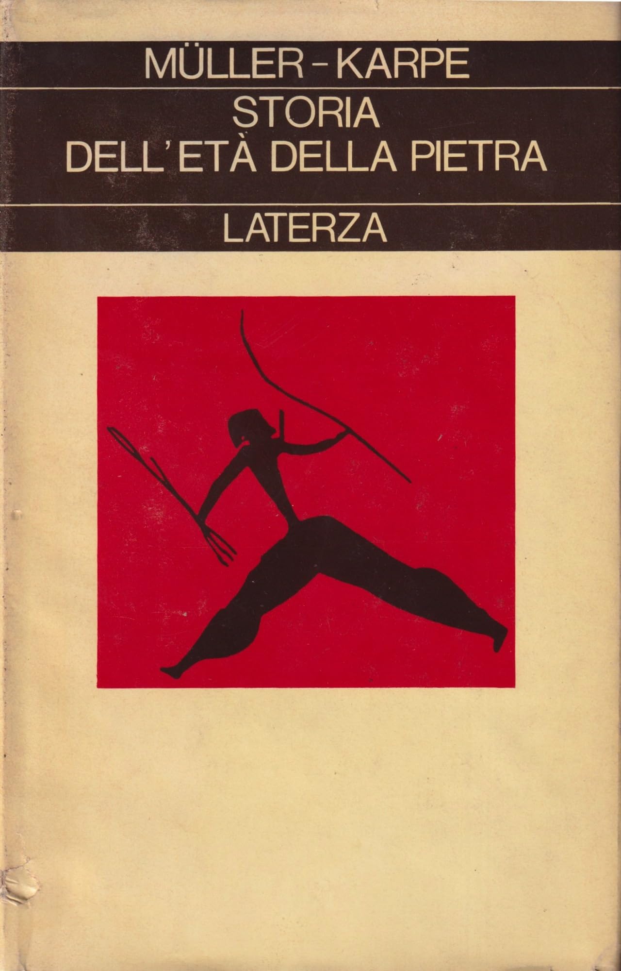 Storia dell'età della pietra book