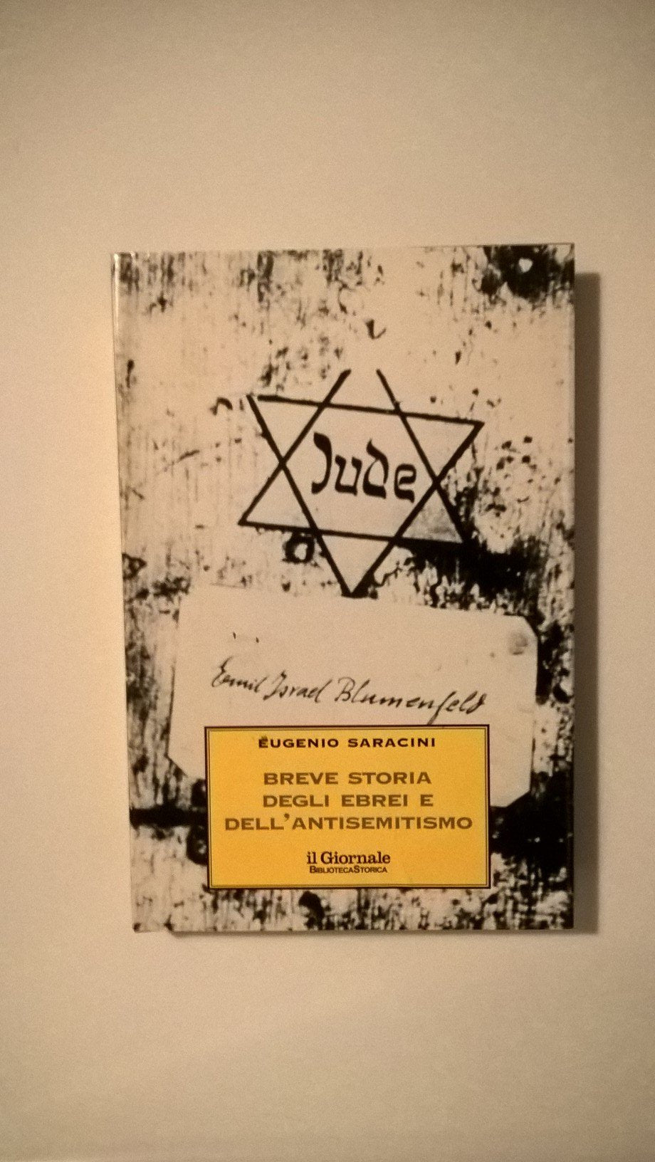 Breve storia degli ebrei e dell'antisemitismo (Oscar storia, Band 16) German history