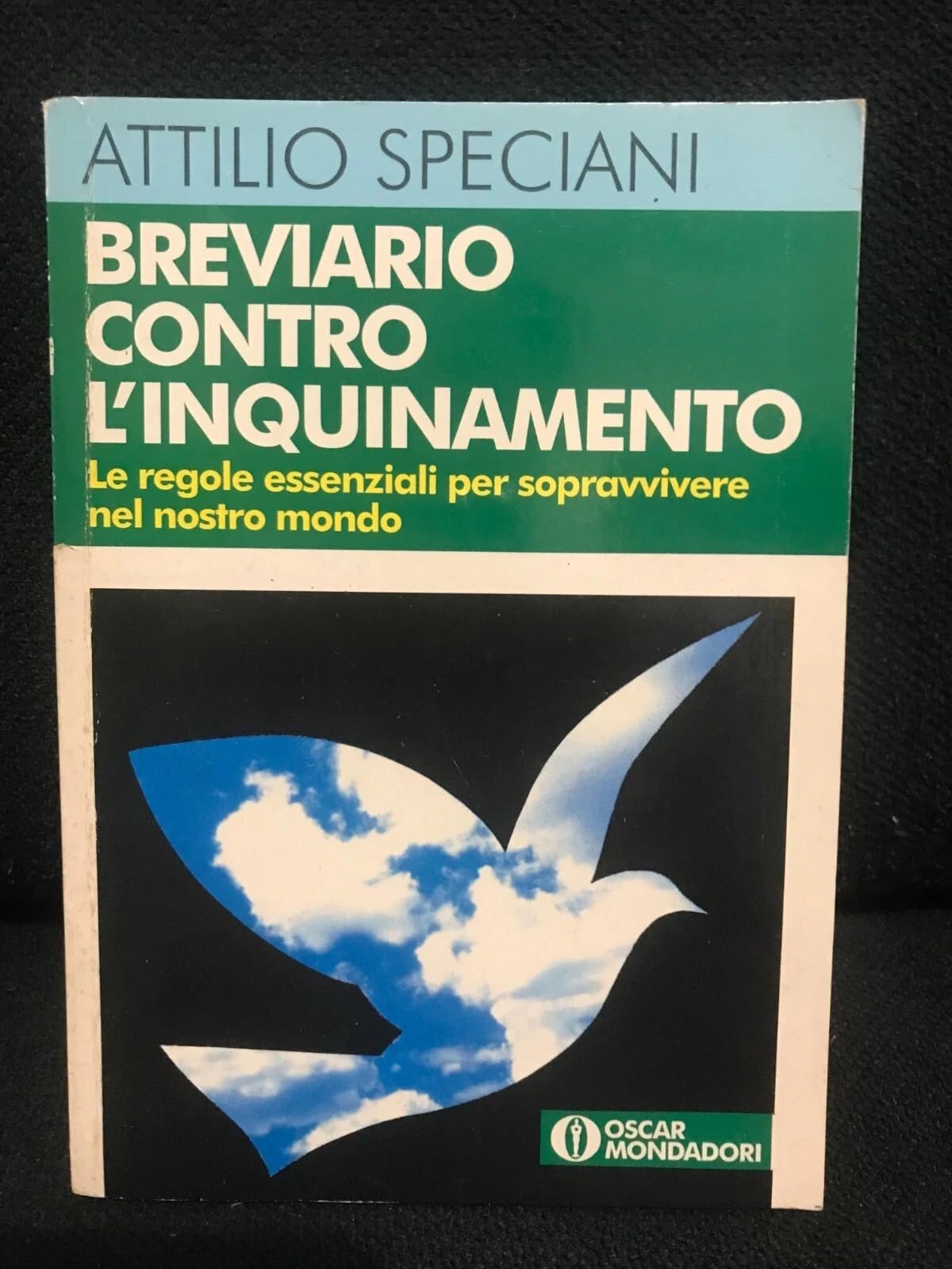Breviario contro l'inquinamento (Oscar manuali) Medicine
