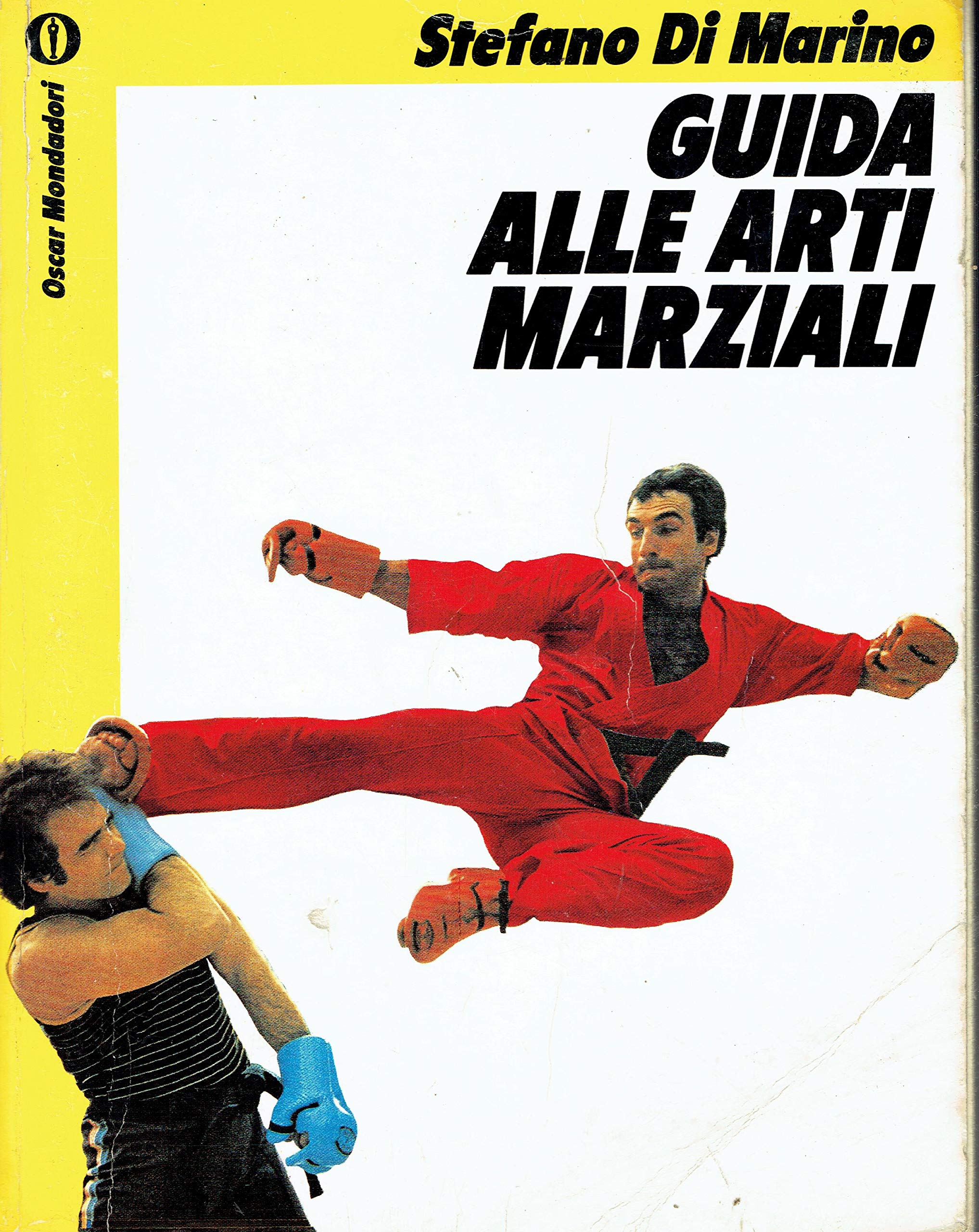 Guida alle arti marziali book