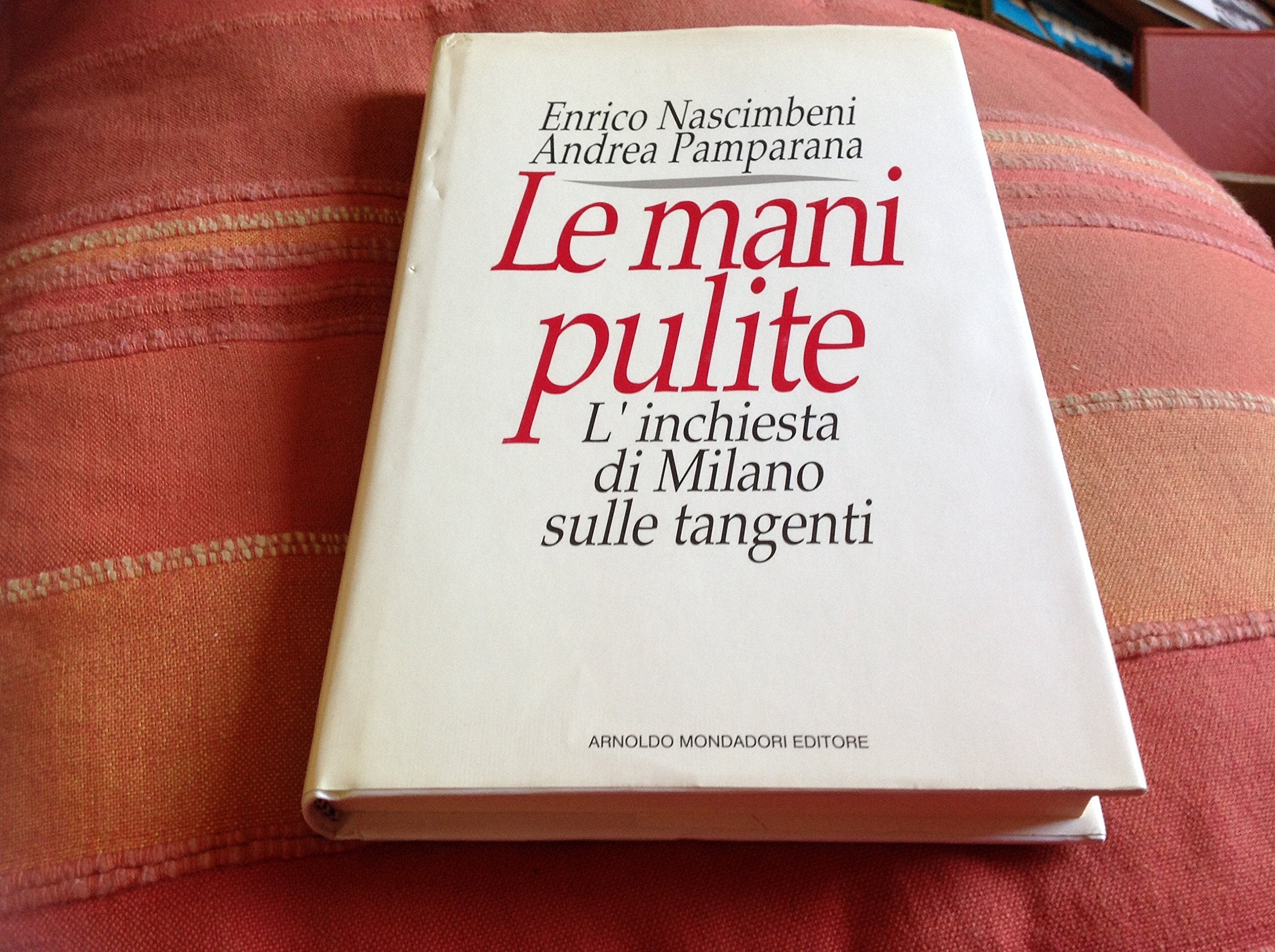 Le mani pulite. L'inchiesta di Milano sulle tangenti (Frecce) Politics & History