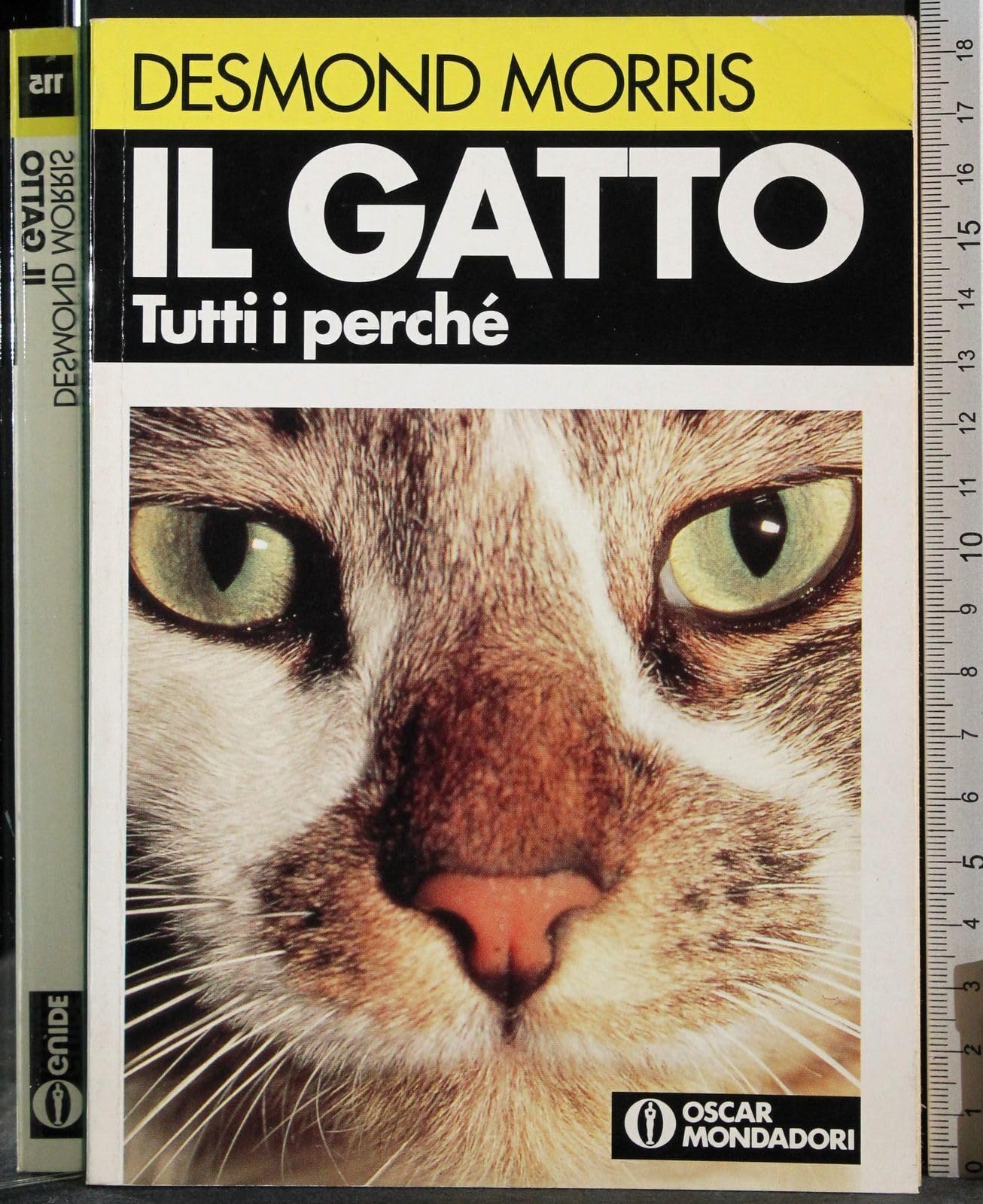 Il gatto. Tutti i perché (Oscar manuali) Pets