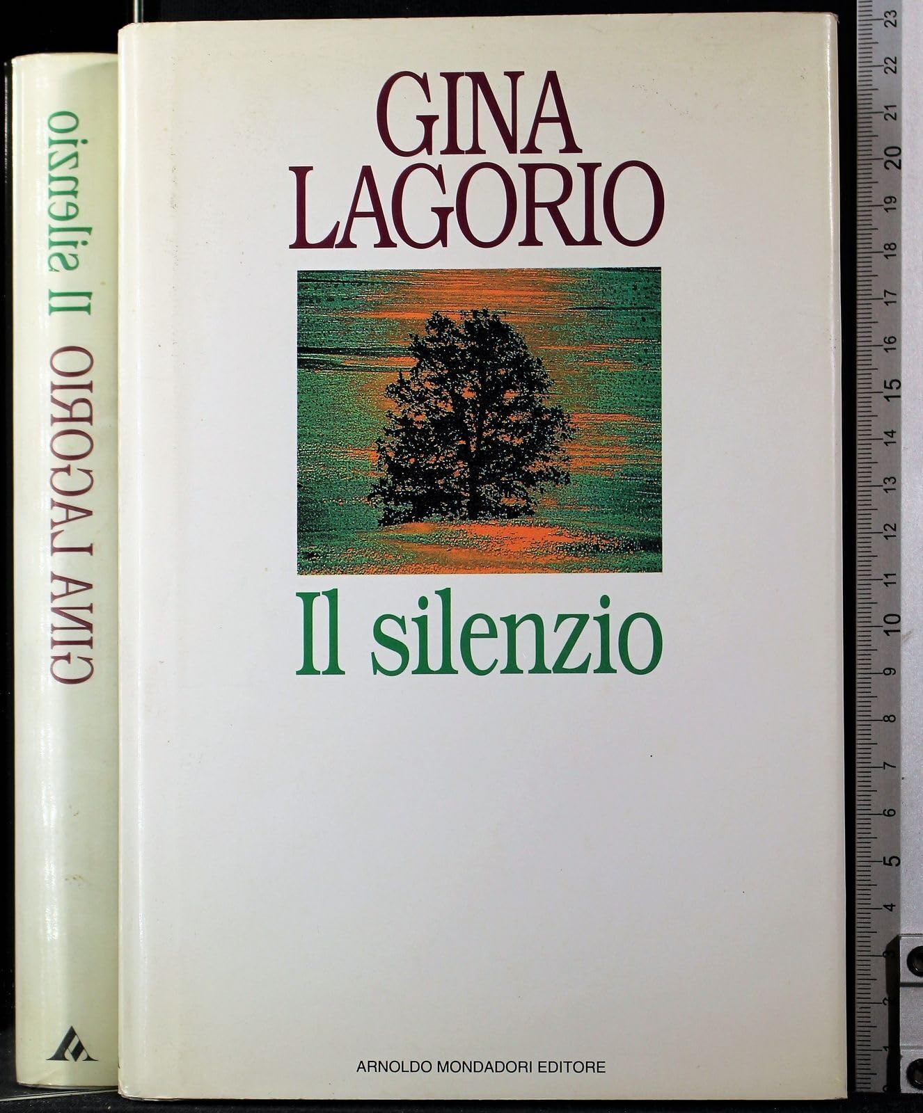 Il silenzio (Scrittori italiani) Contemporary literature Books