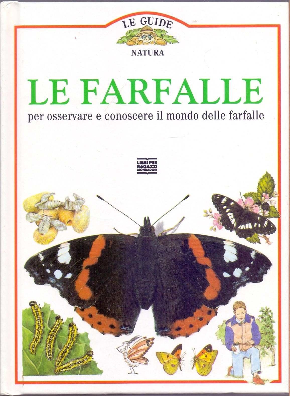 Le farfalle (Guide) Non-fiction