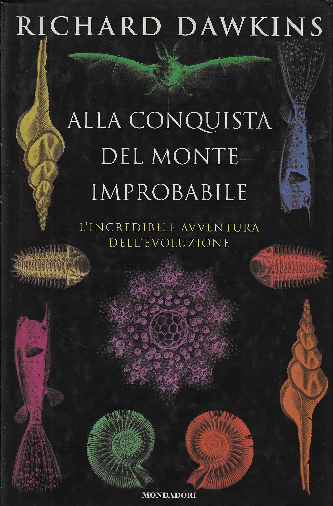 Alla conquista del monte improbabile. Incredibili avventure dell'evoluzione (Saggi) Natural Sciences