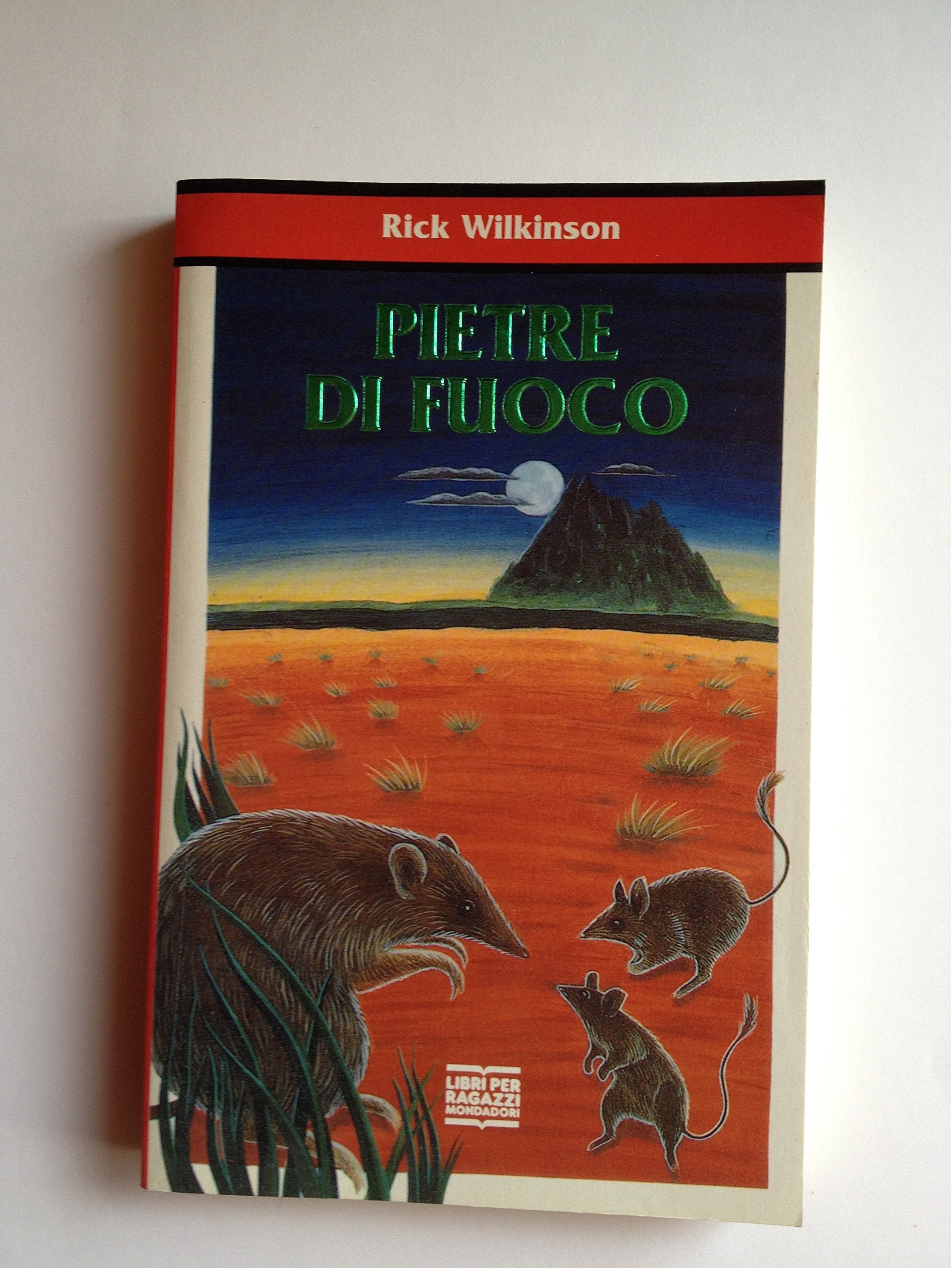 Le pietre di fuoco (Junior +10, Band 40) Books