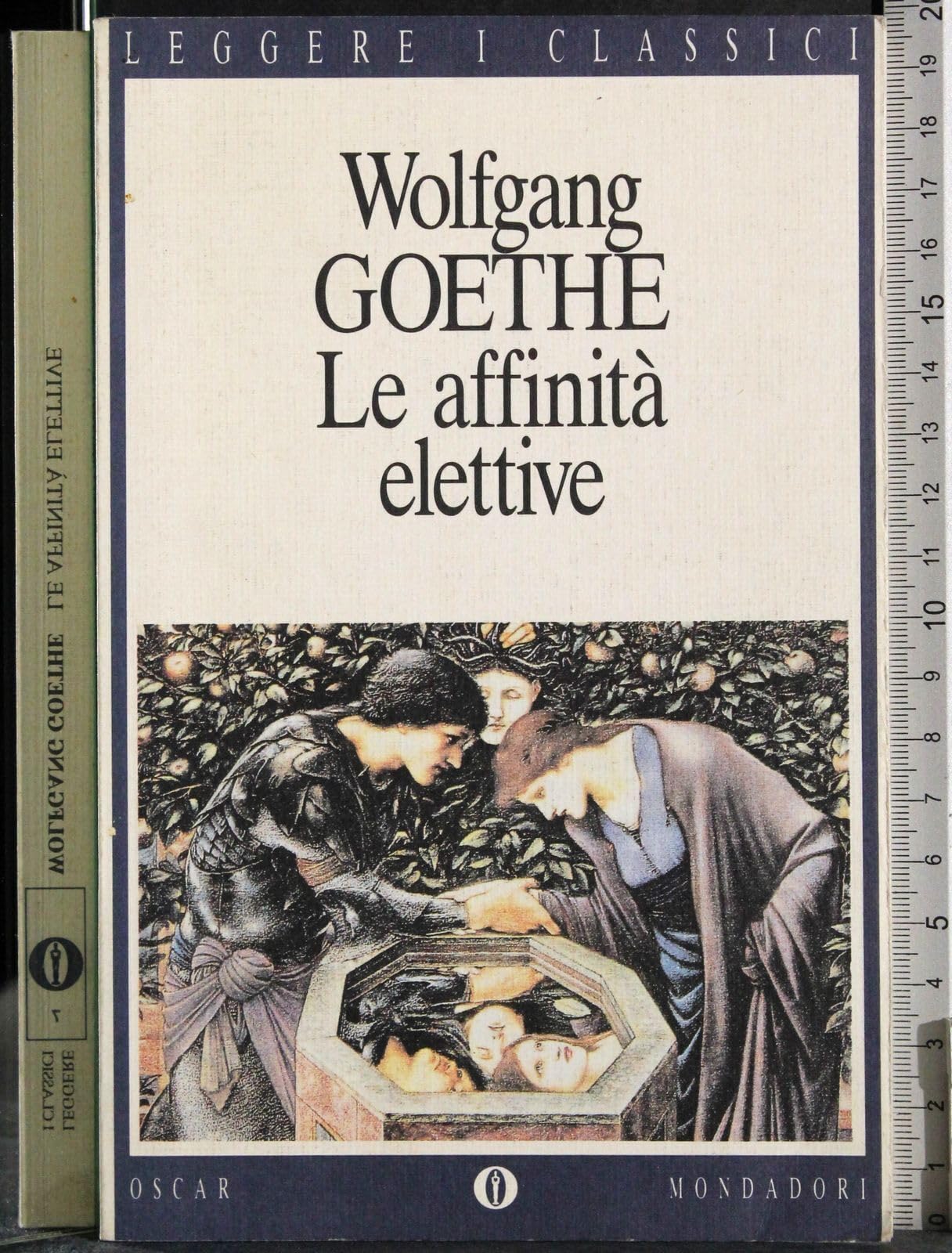 Le affinità elettive book