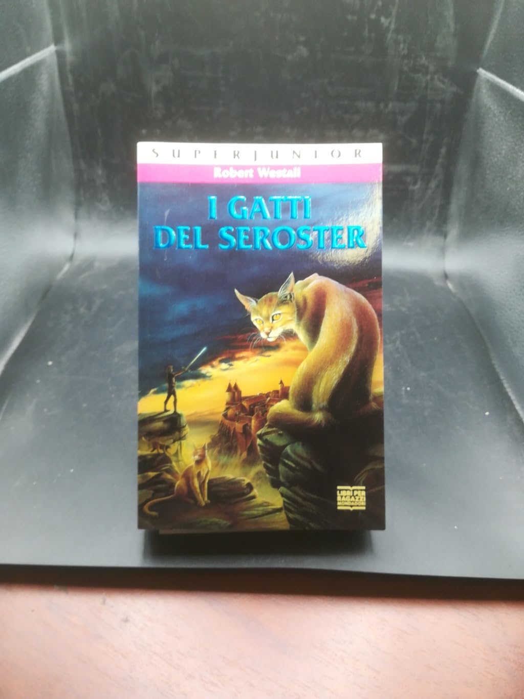 I gatti di Seroster (Superjunior, Band 48) Books