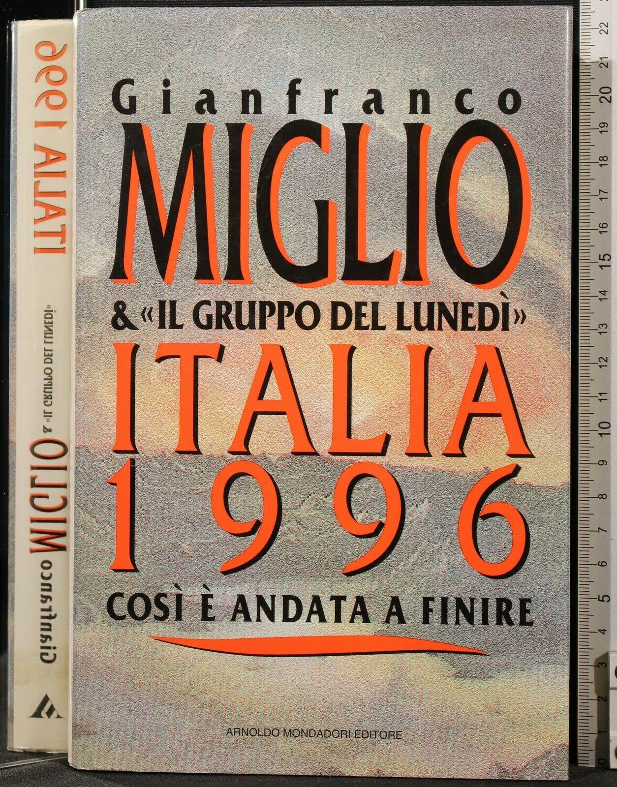 Italia 1996. Così è andata a finire (Frecce) Books