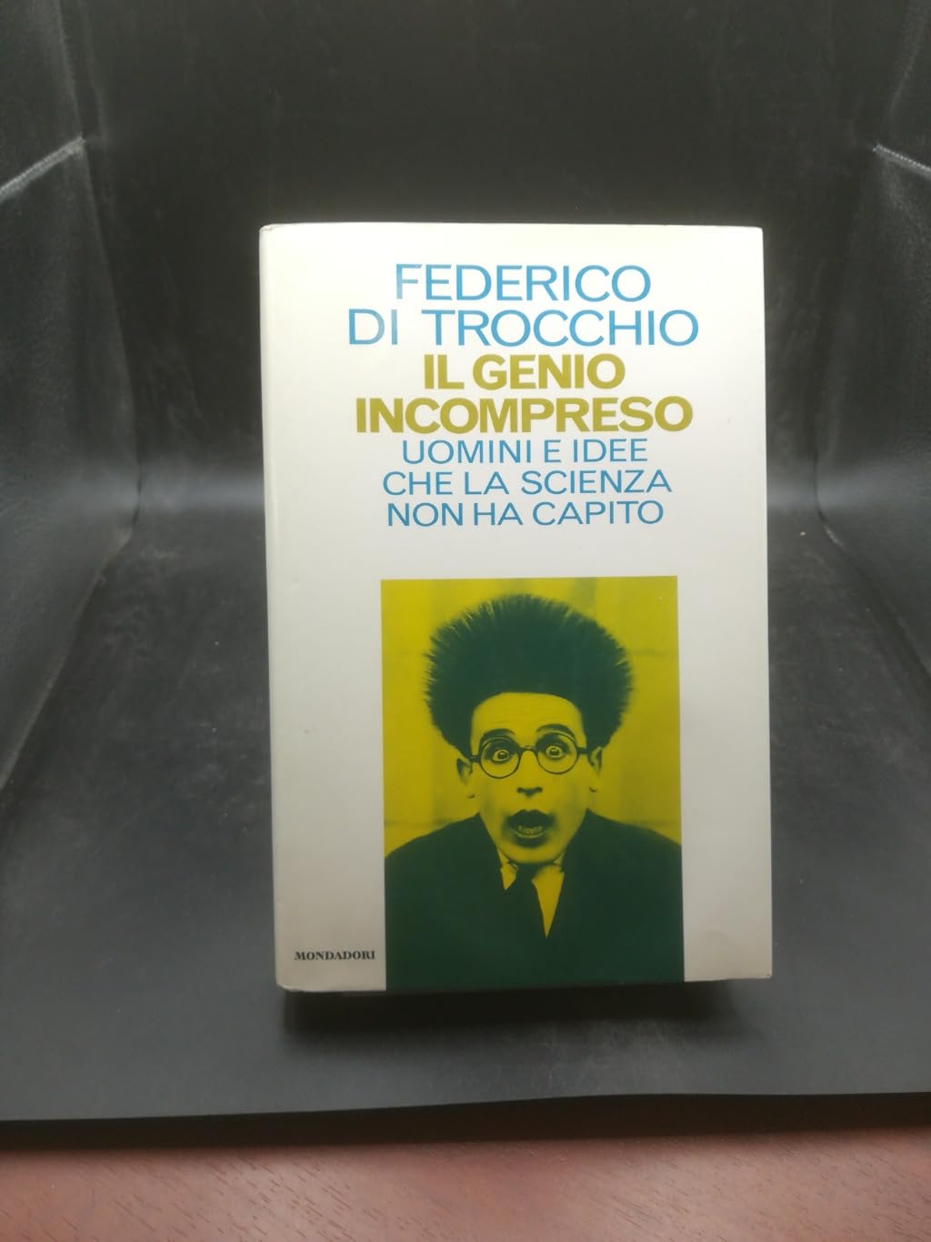 Il genio incompreso (Saggi) Books