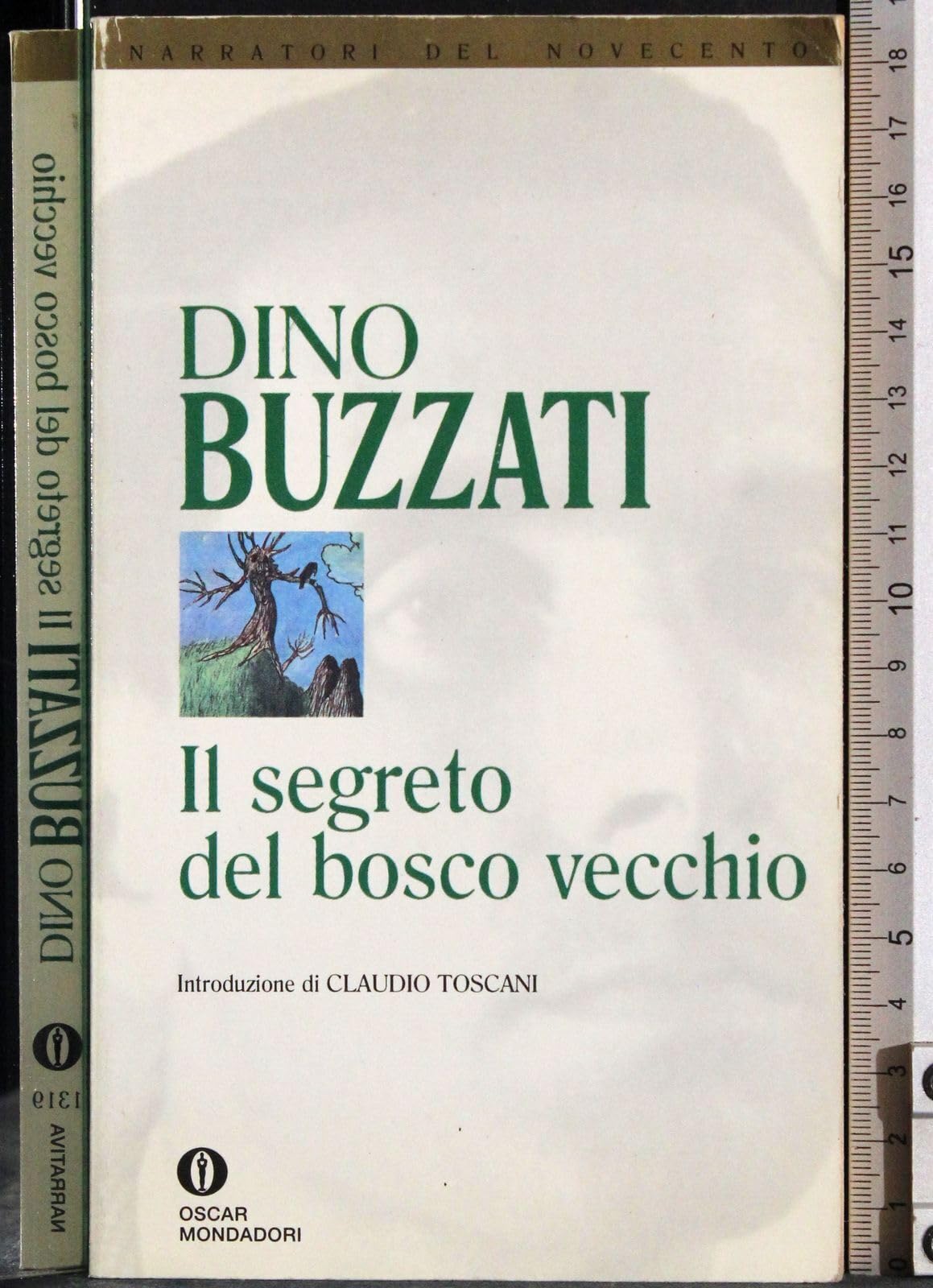 Il segreto del Bosco Vecchio (Oscar narrativa, Band 1319) Classics