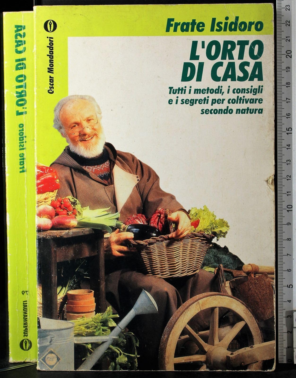 L'orto di casa. Tutti i metodi, i consigli e i segreti per coltivare secondo natura book