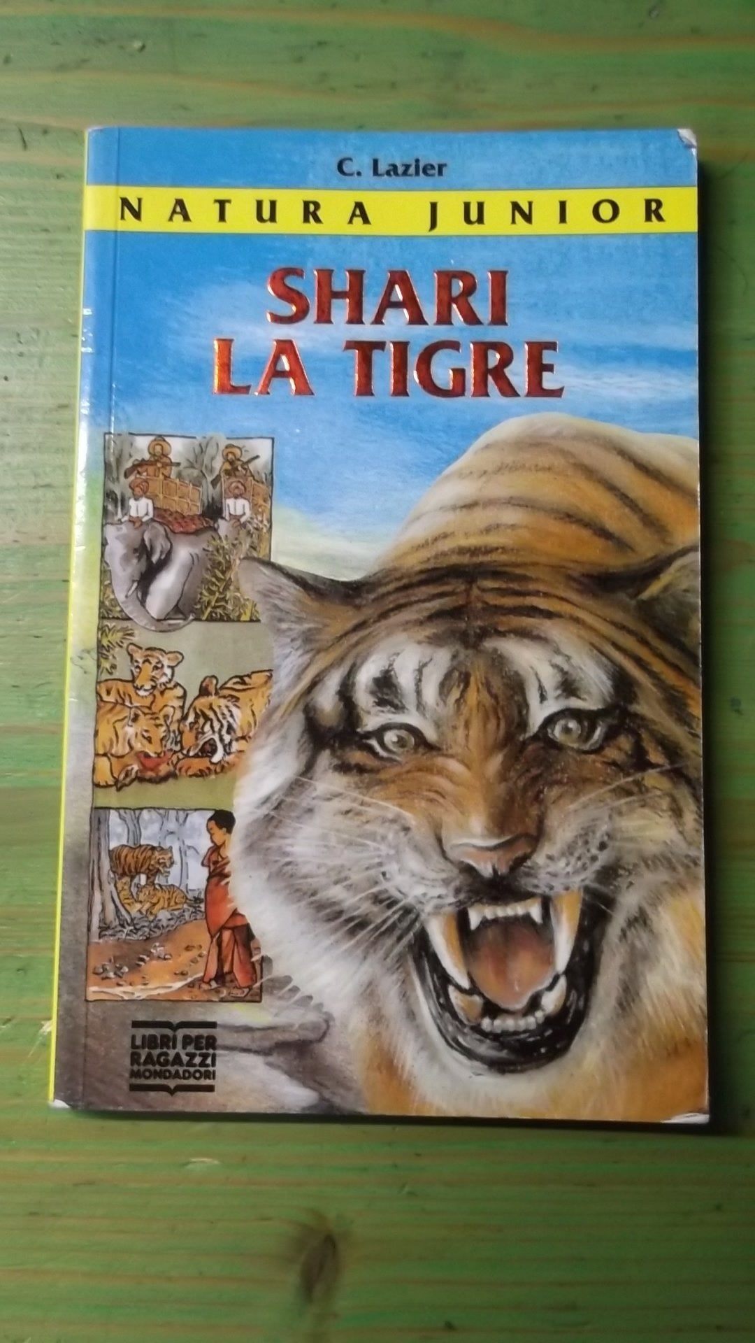 Akbar, la tigre book
