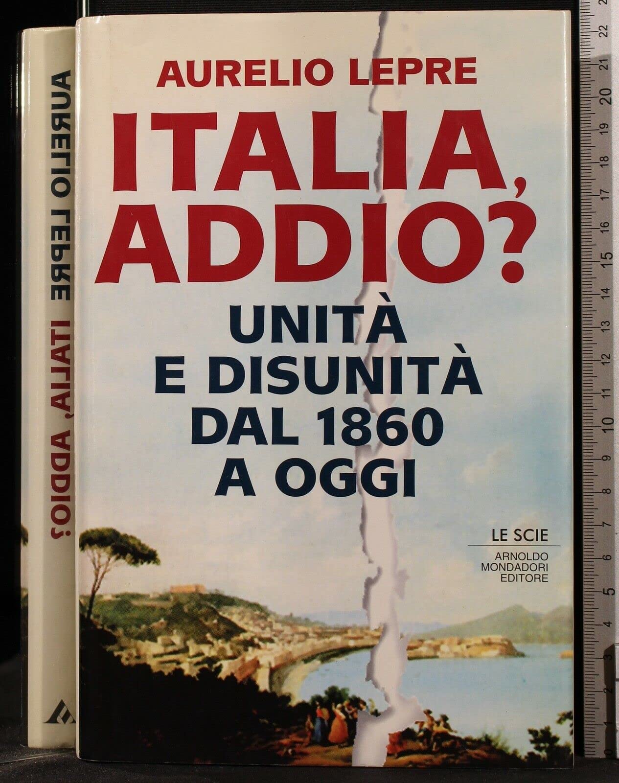 Italia addio? Unità e disunità dal 1860 a oggi (Le scie) Politics & History