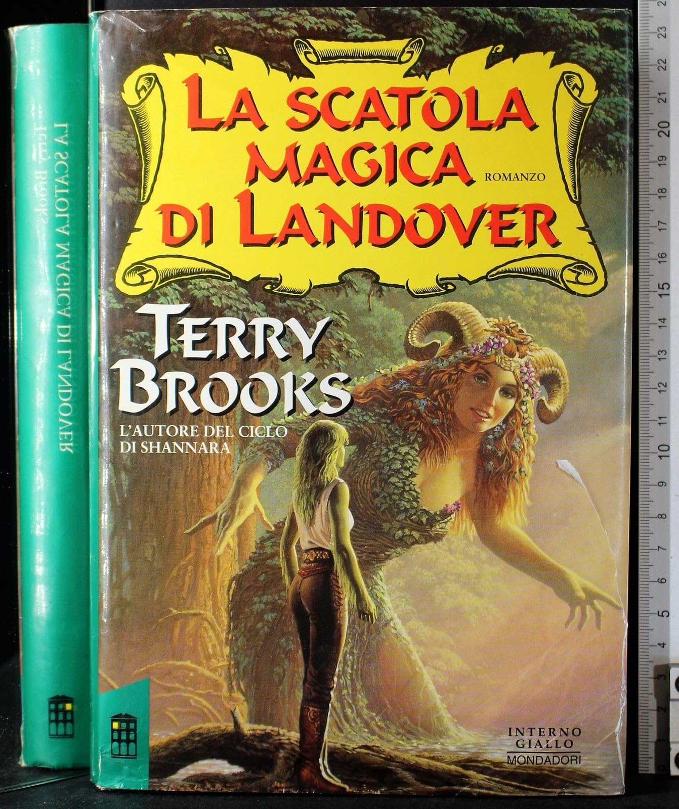 La scatola magica di Landover. Ciclo di Landover (Vol. 4) (Super blues fantasy) Contemporary literature