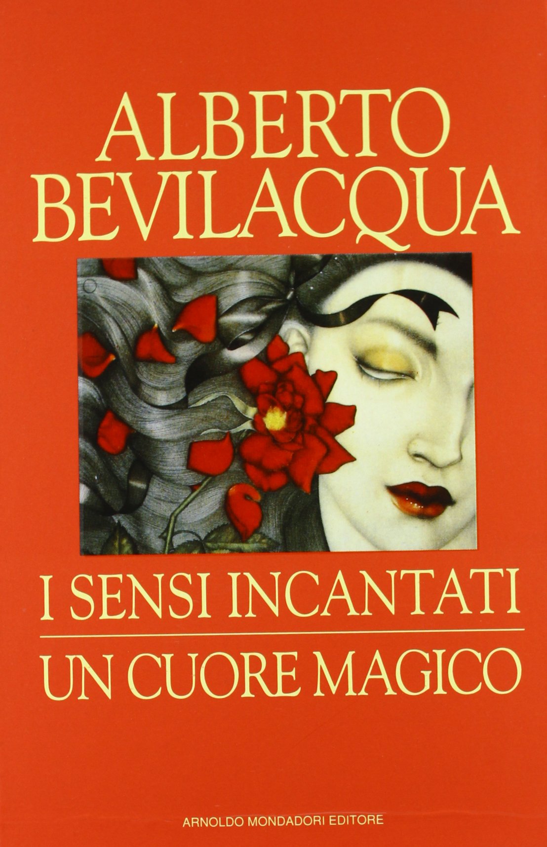 I sensi incantati-Un cuore magico book