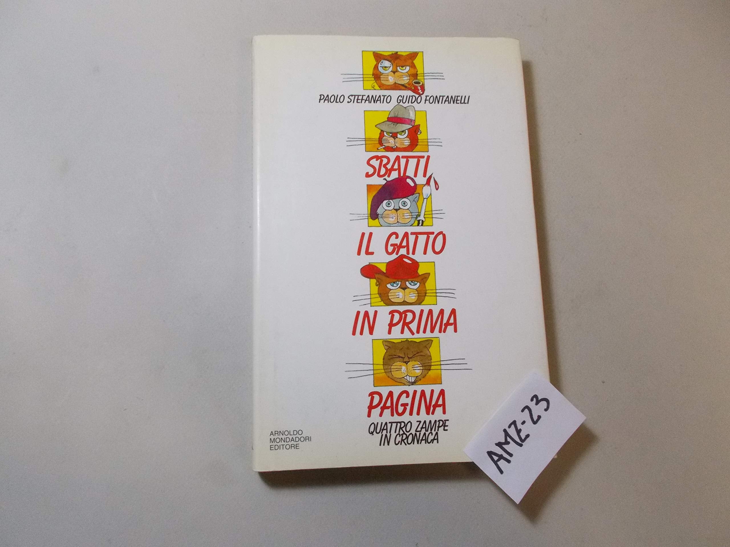 Sbatti il gatto in prima pagina book